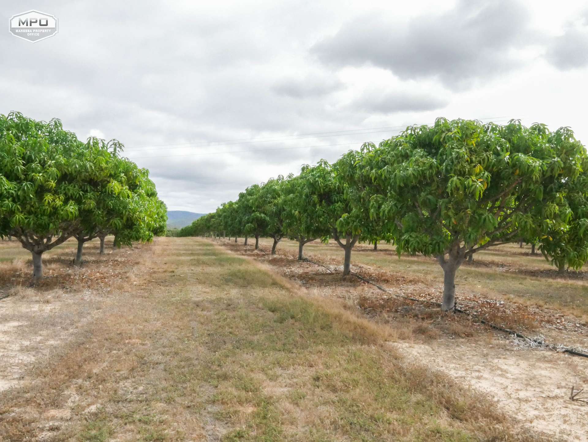 Dimbulah For Sale by Farmbuy.com - image 11