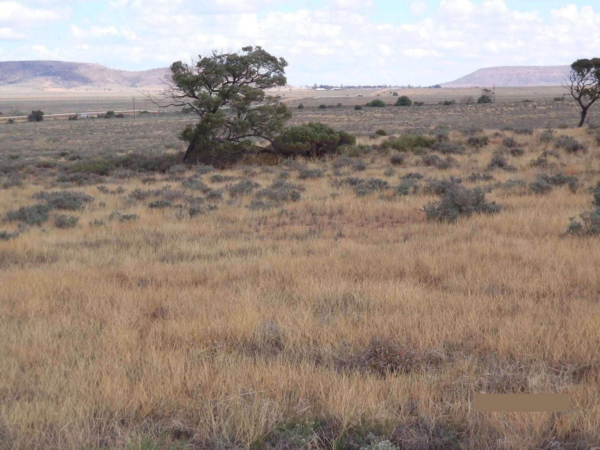 374 Caroona Road, Port Augusta West For Sale by Farmbuy.com - image 8