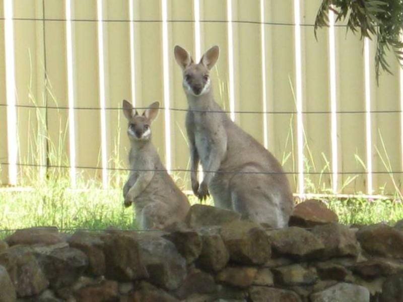 Toowoomba West Sold by Farmbuy.com - image 7