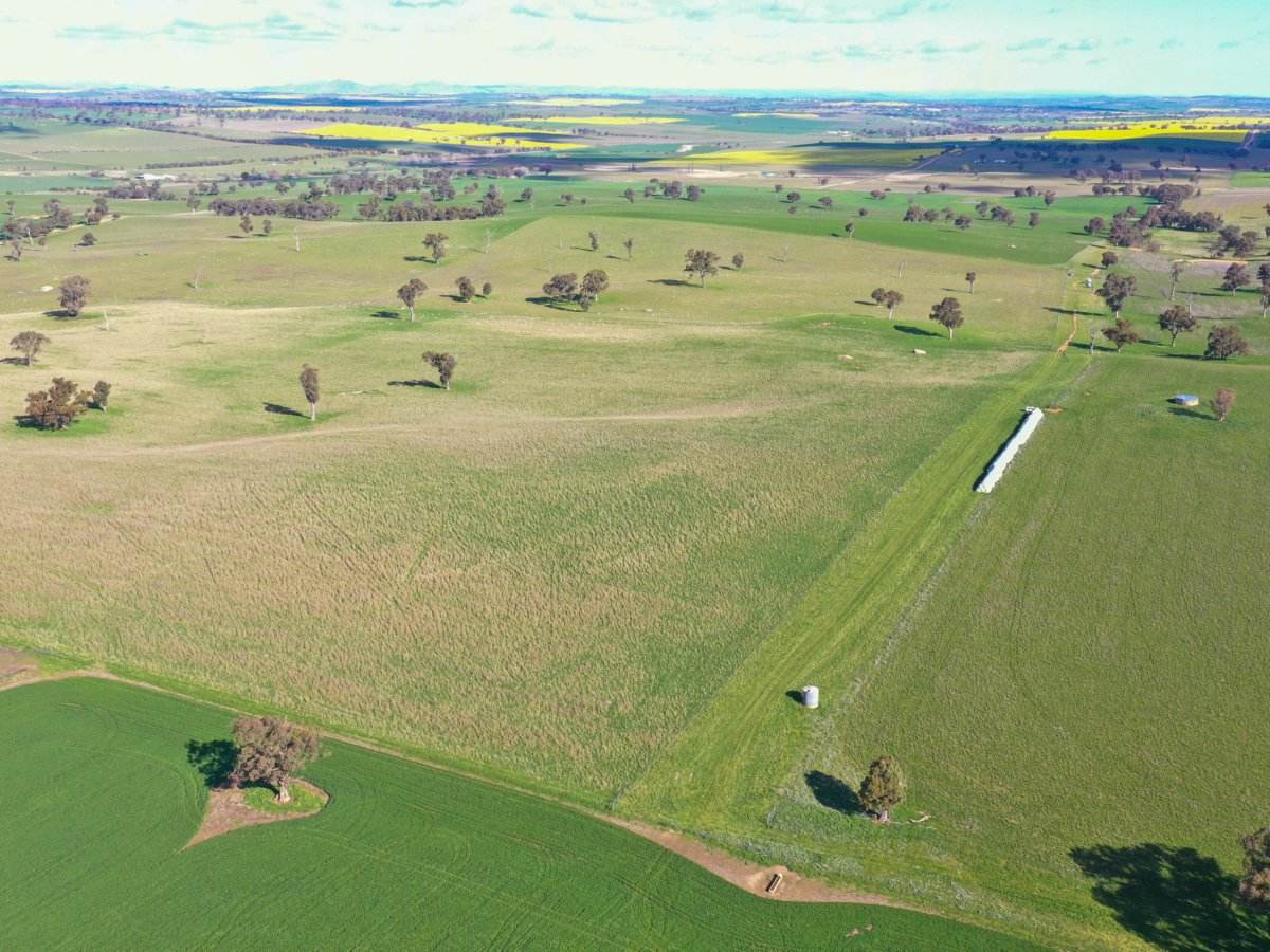 00 Currawong Rd, Young Sold by Farmbuy.com - image 4
