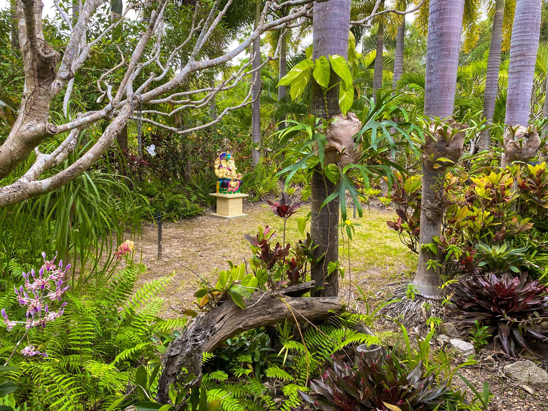 18 Hope Street, Cooktown For Sale by Farmbuy.com - image 18