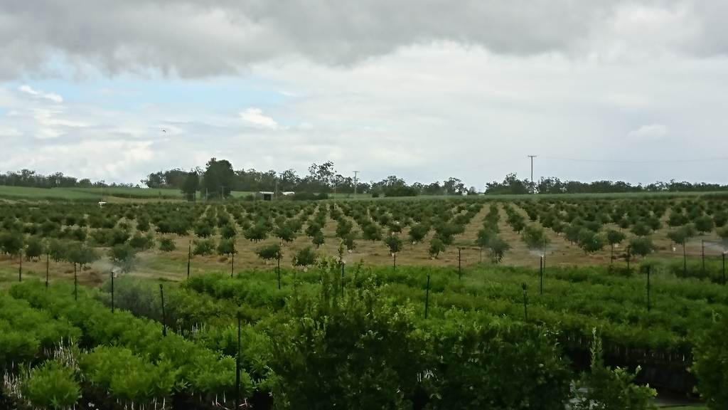 Gregory River QLD 4660