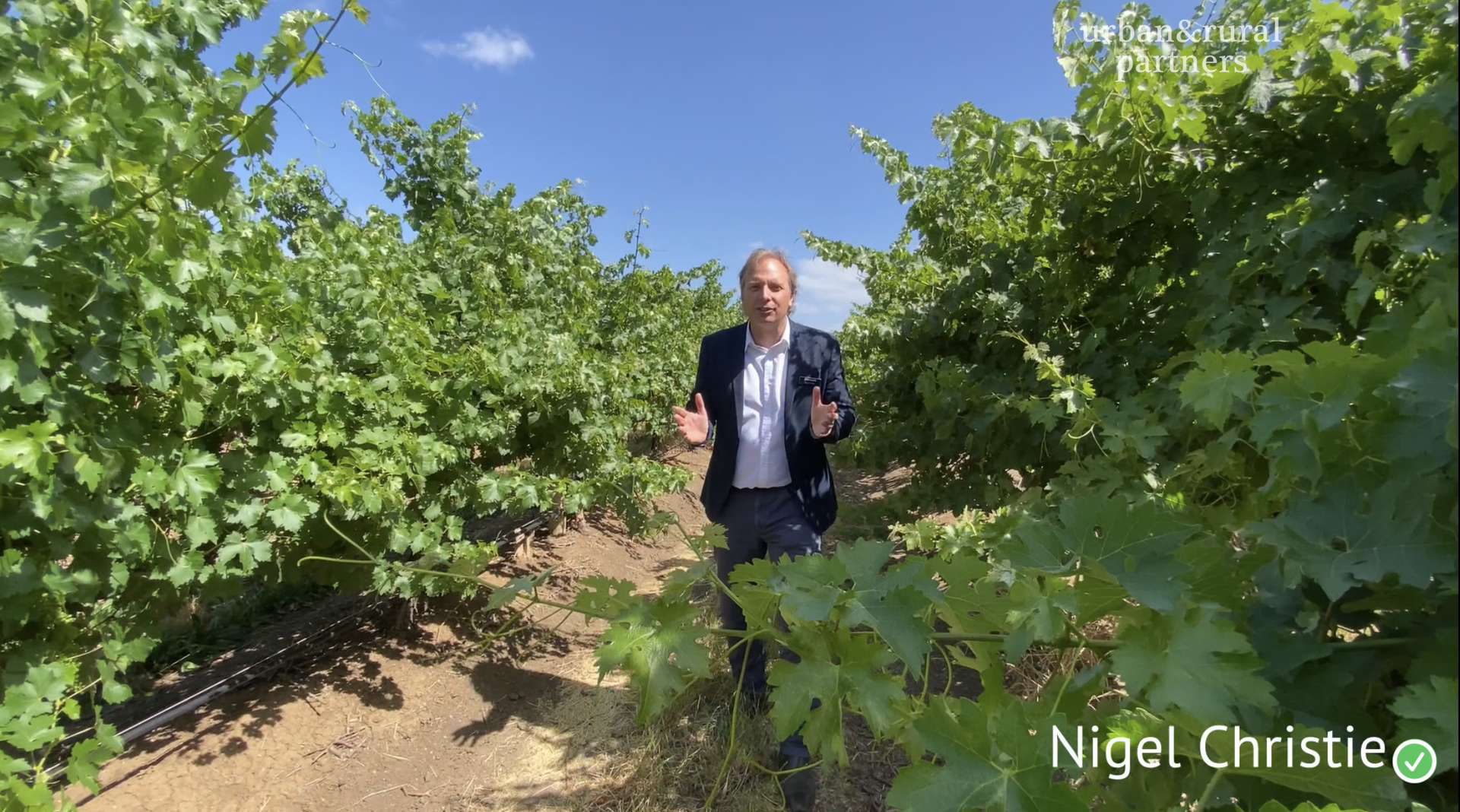 543 Aldinga Road, Aldinga For Sale by Farmbuy.com - image 11