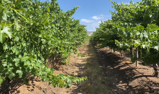 543 Aldinga Road, Aldinga SA 5173