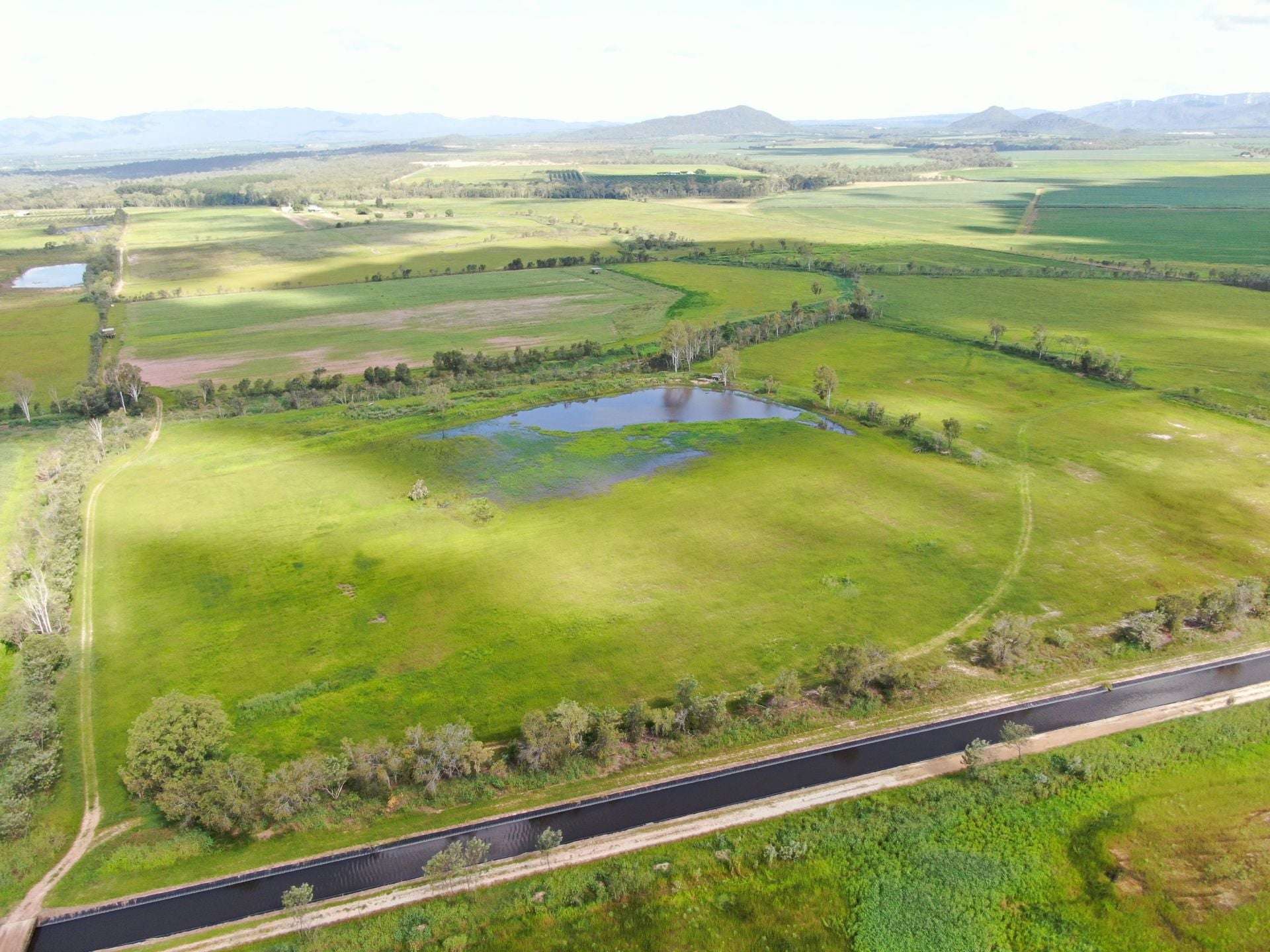 Arriga For Sale by Farmbuy.com - image 5