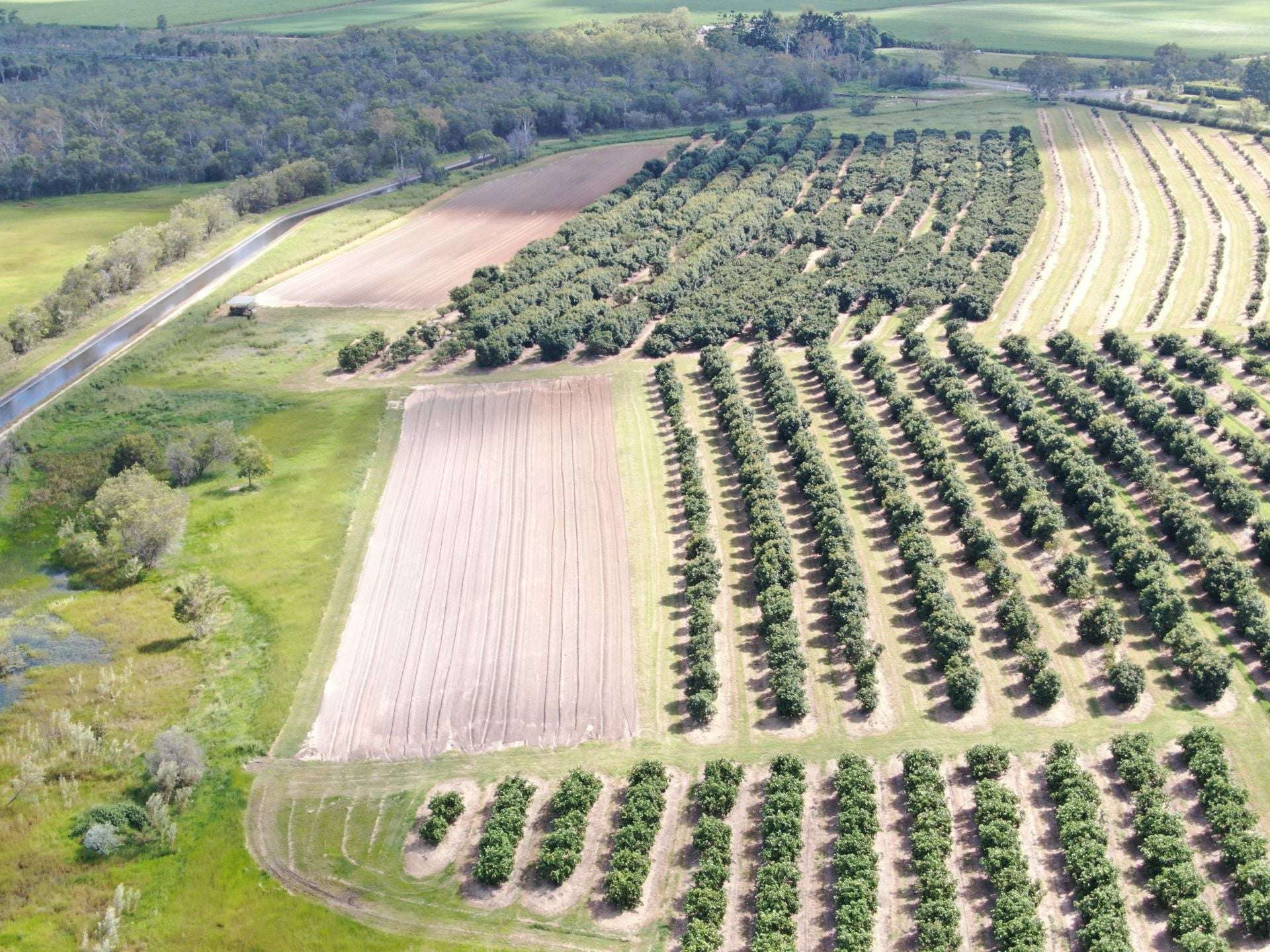 Arriga For Sale by Farmbuy.com - image 9