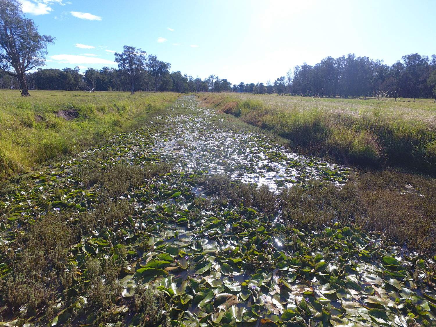 Tuckean Island Road, Marom Creek For Sale by Farmbuy.com - image 16