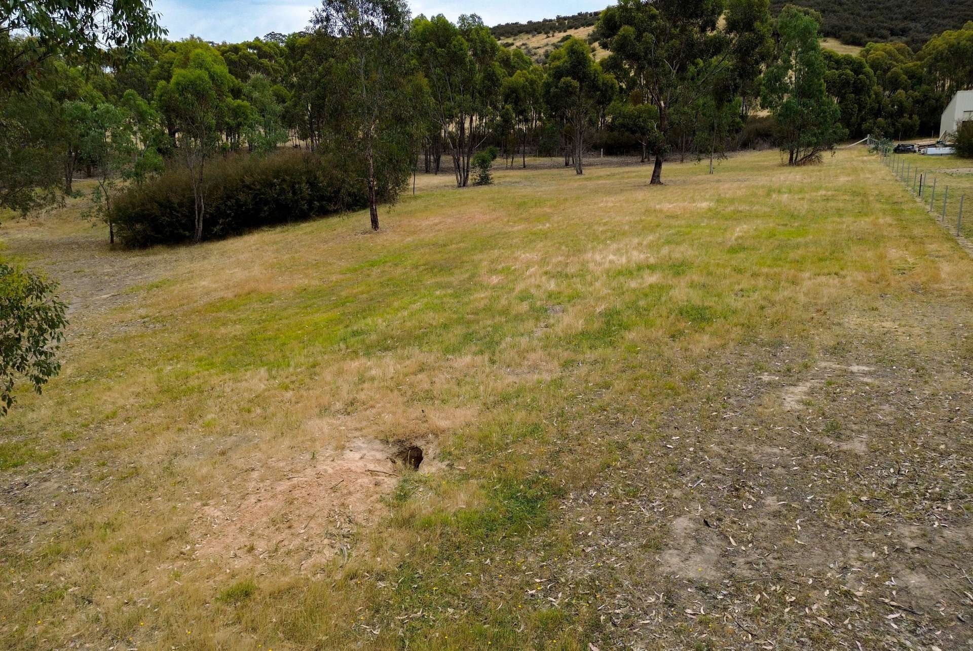 890 TELEGRAPH ROAD, Seymour For Sale by Farmbuy.com - image 14