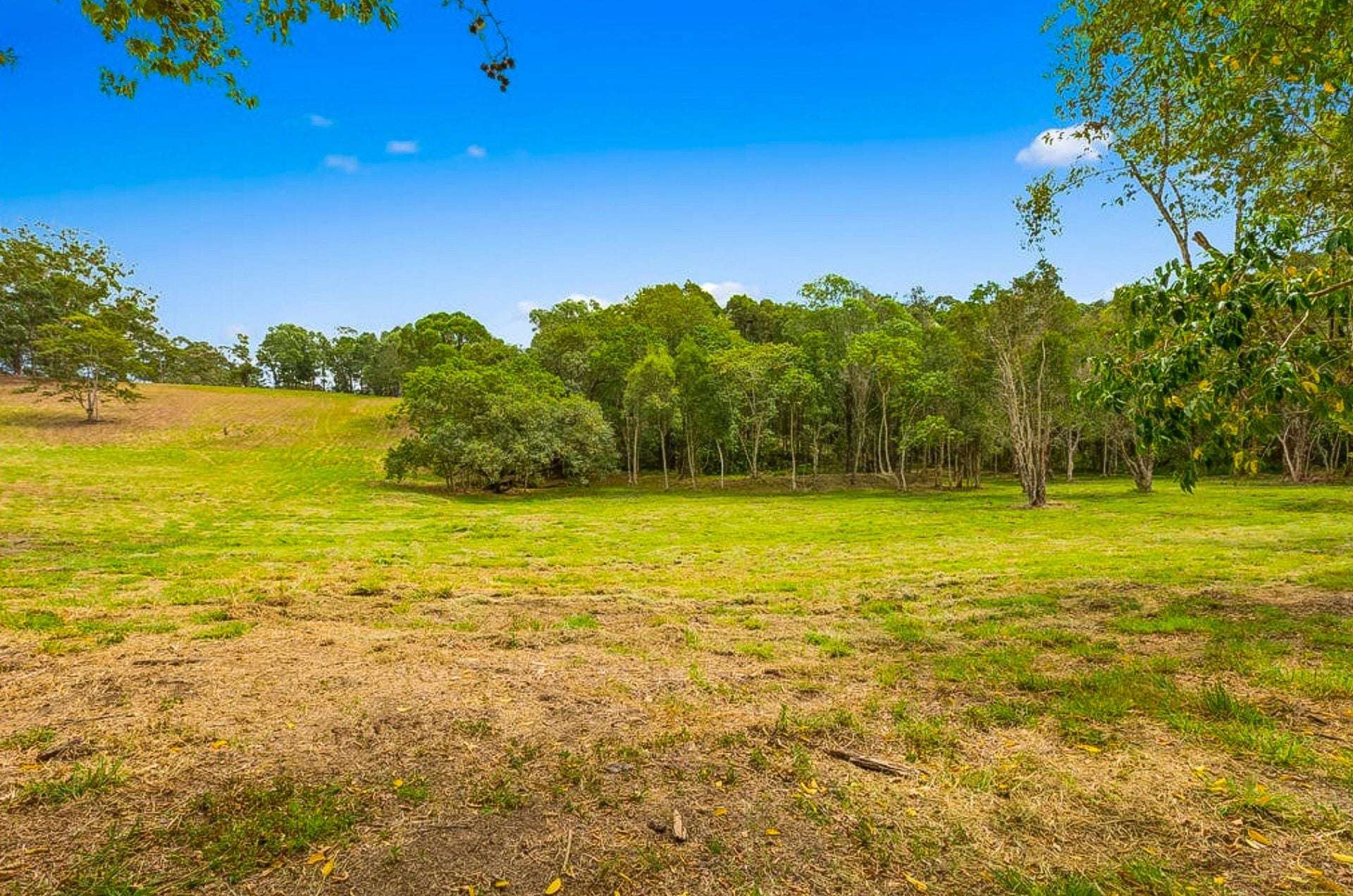 Wooyung For Sale by Farmbuy.com - image 7