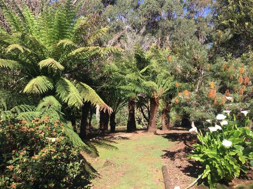 198 Whitehills Road, Penguin TAS 7316