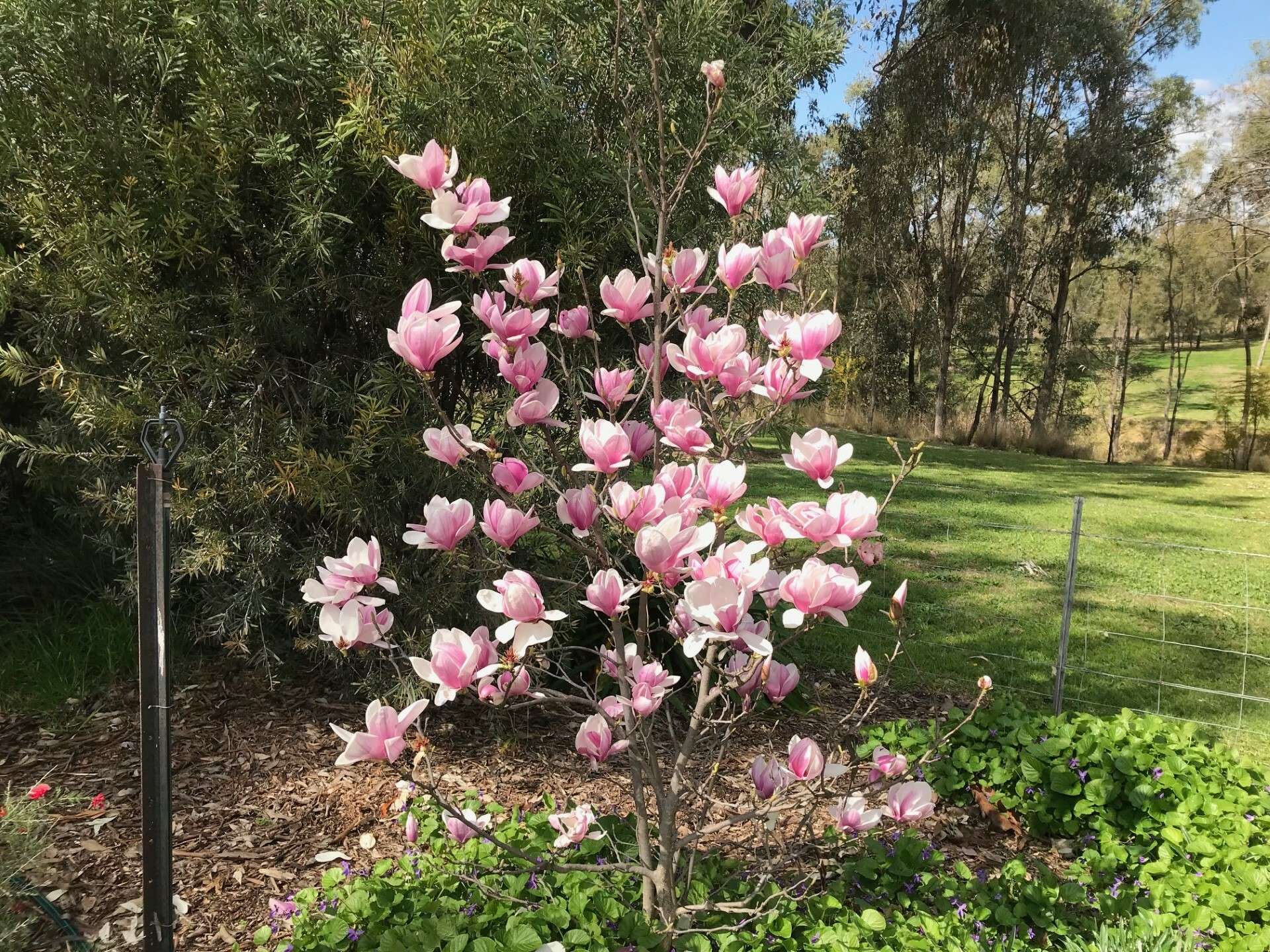 Inverell For Sale by Farmbuy.com - image 24