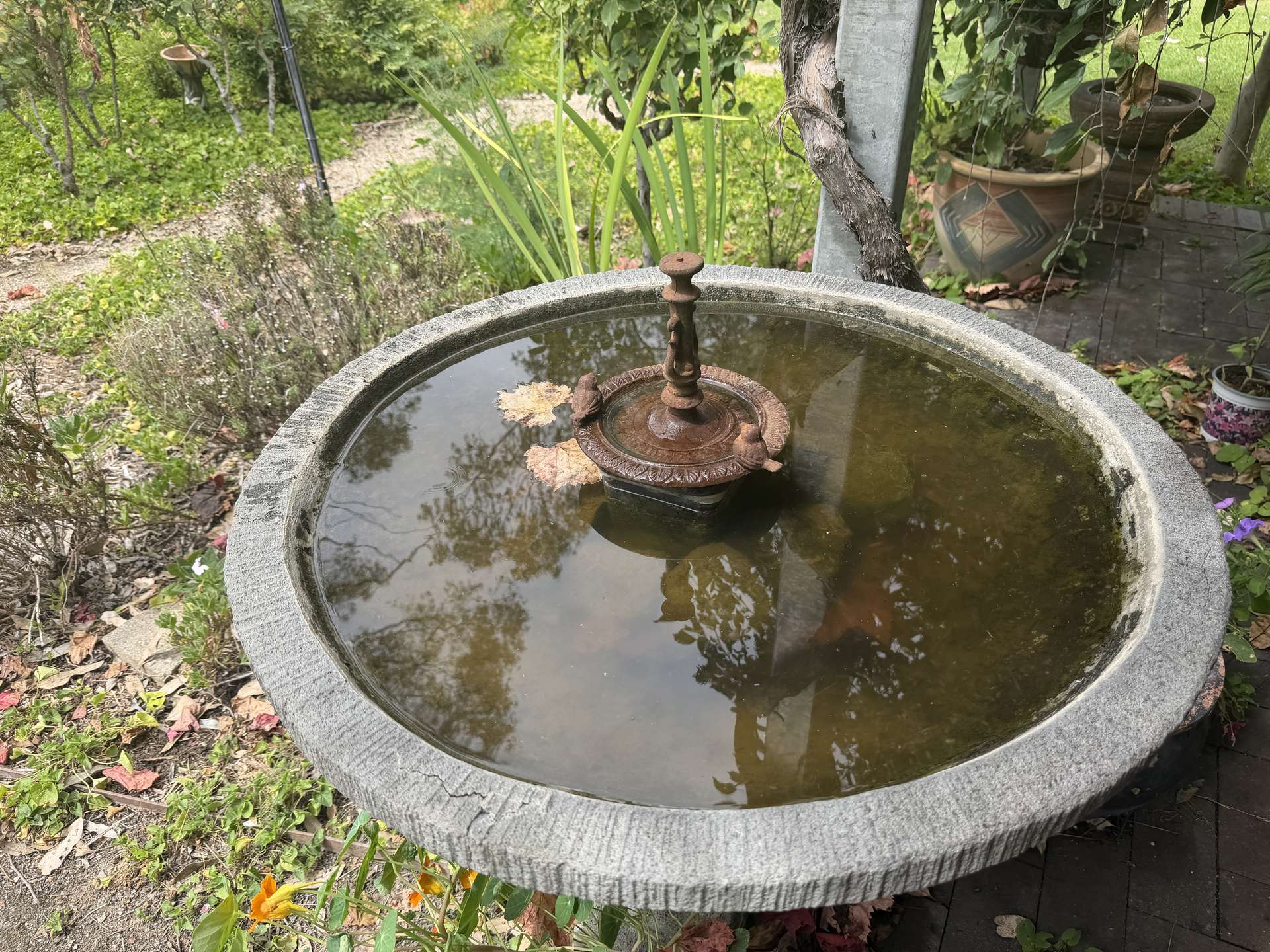 Inverell For Sale by Farmbuy.com - image 32