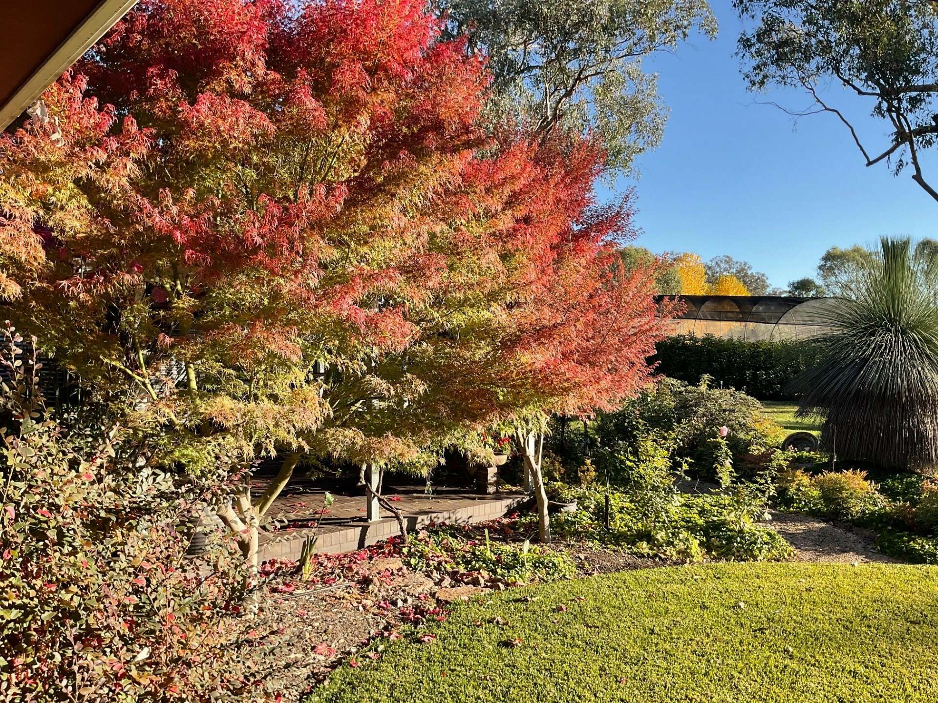 Inverell For Sale by Farmbuy.com - image 19