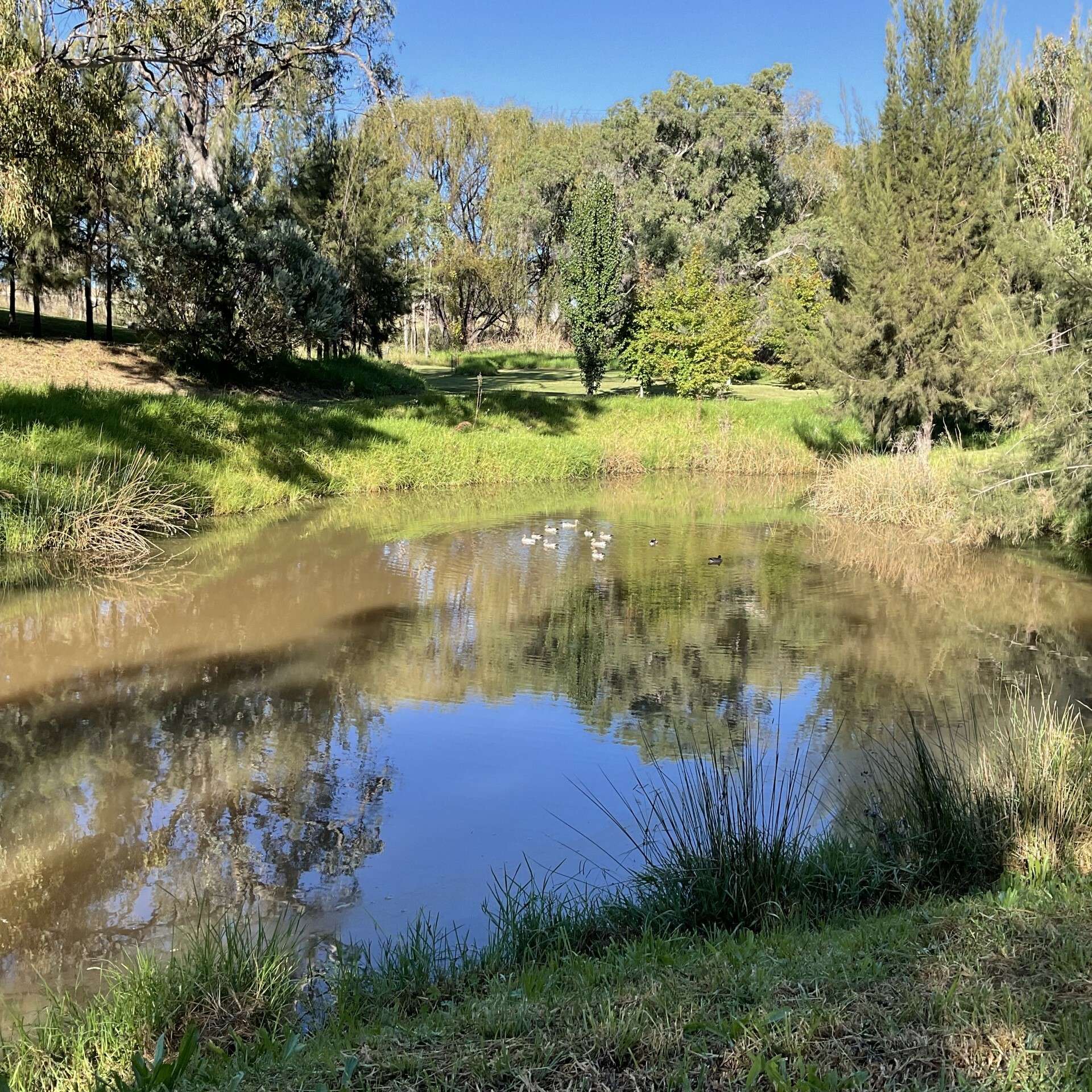 Inverell For Sale by Farmbuy.com - image 3