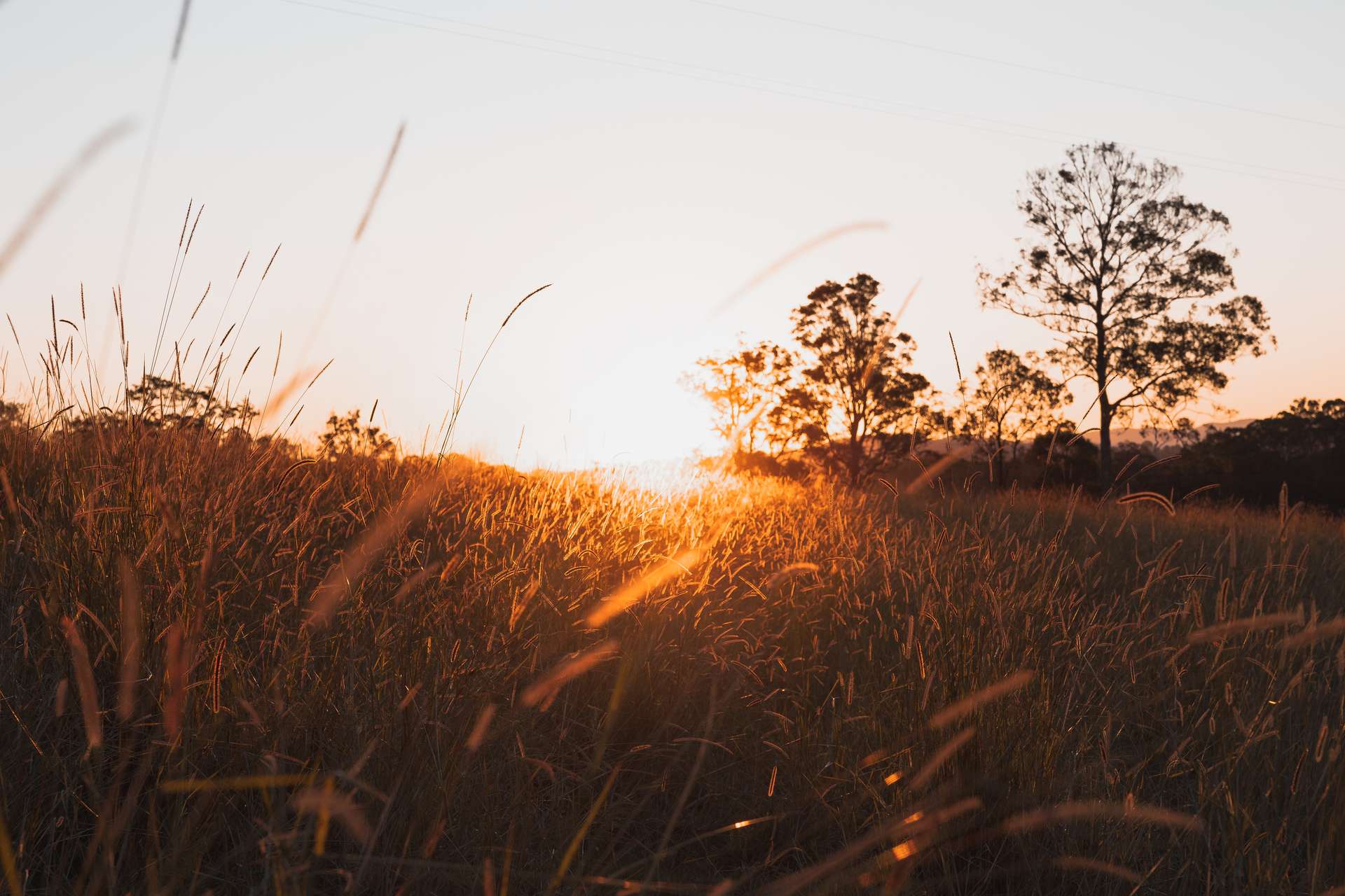 180 Runnymede Road, Kyogle For Sale by Farmbuy.com - image 20