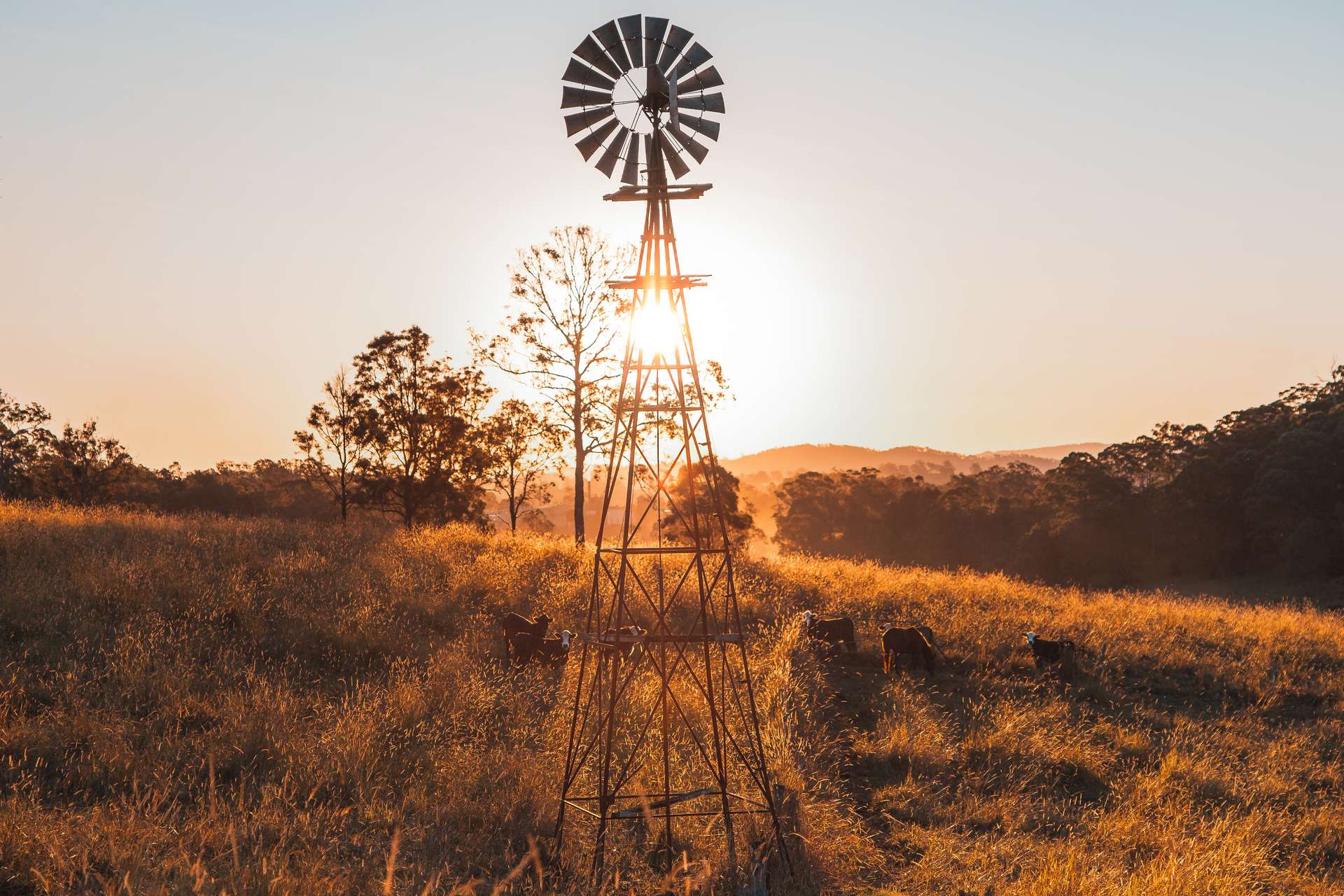180 Runnymede Road, Kyogle For Sale by Farmbuy.com - image 17