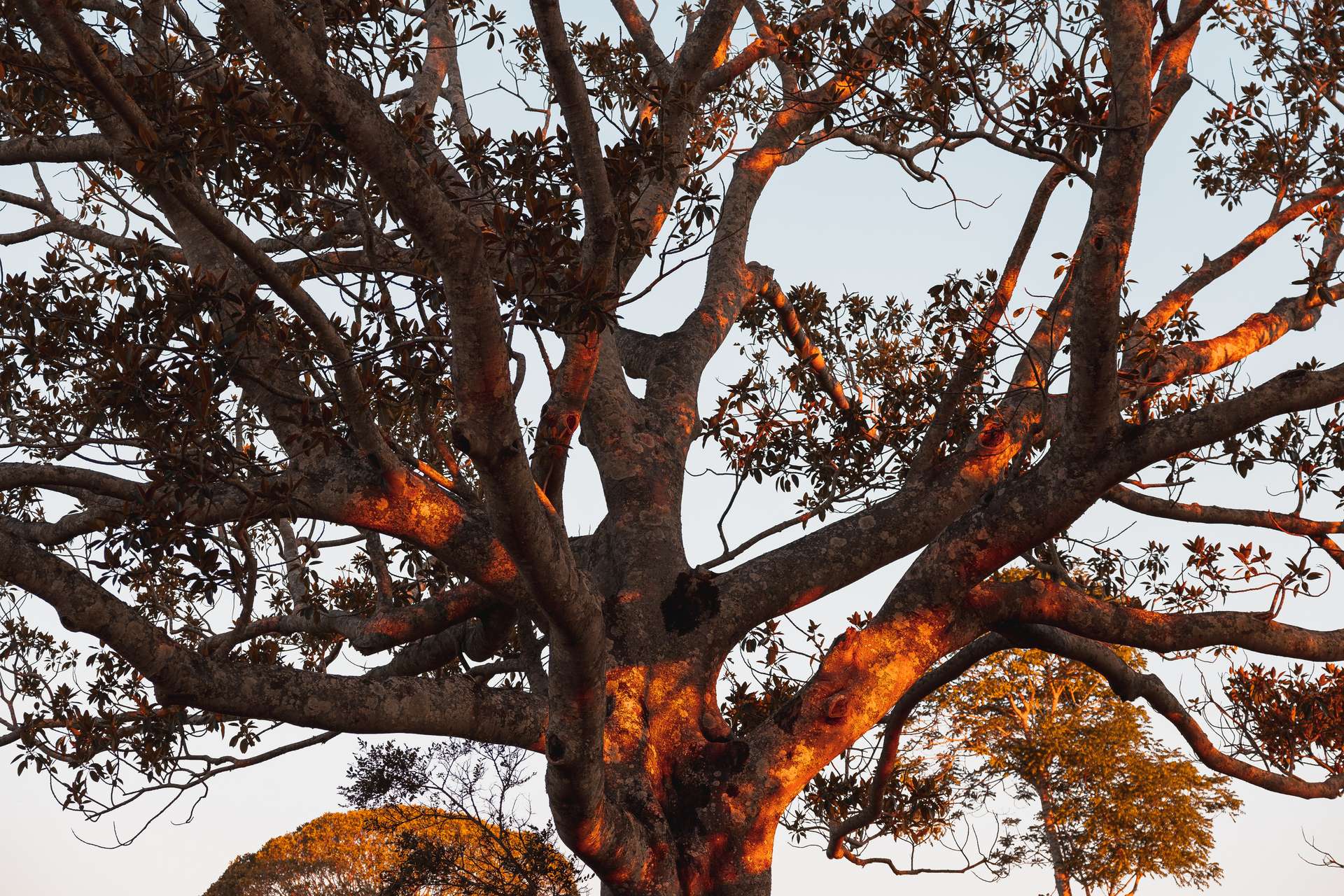 180 Runnymede Road, Kyogle For Sale by Farmbuy.com - image 21