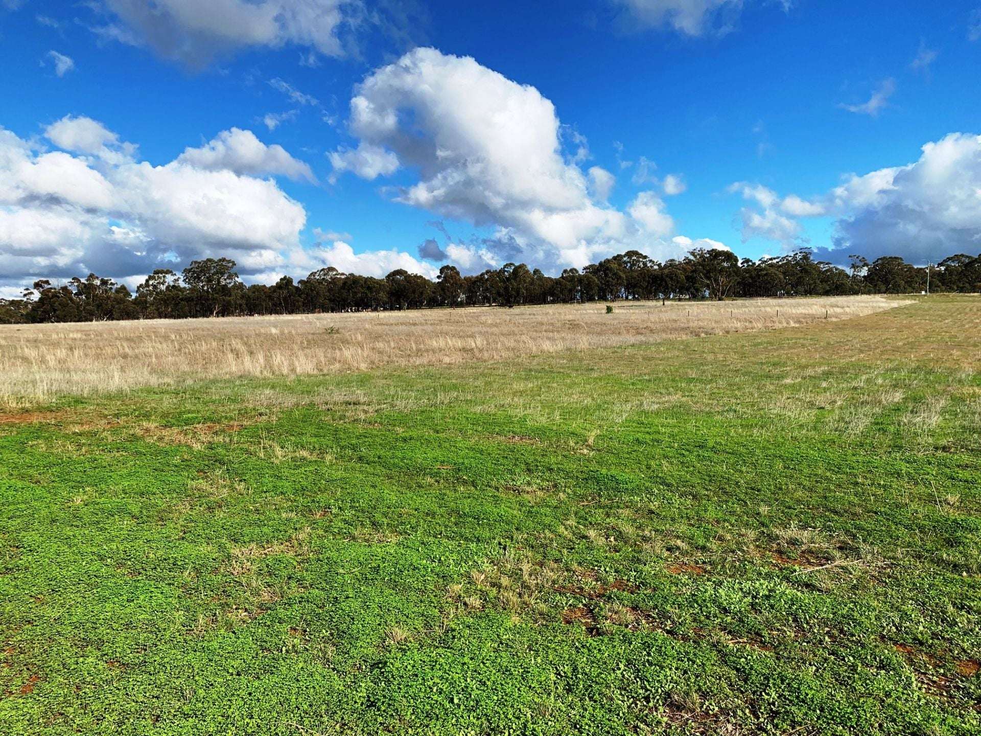 18a Heathcote-Rochester Road, Bonn For Sale by Farmbuy.com - image 9