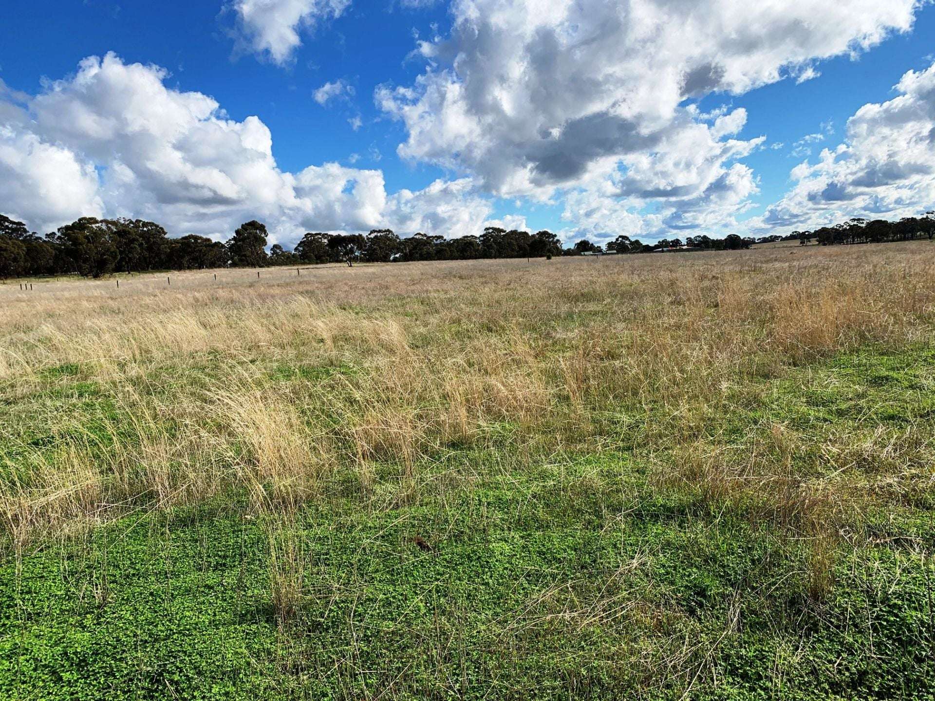 18a Heathcote-Rochester Road, Bonn For Sale by Farmbuy.com - image 15