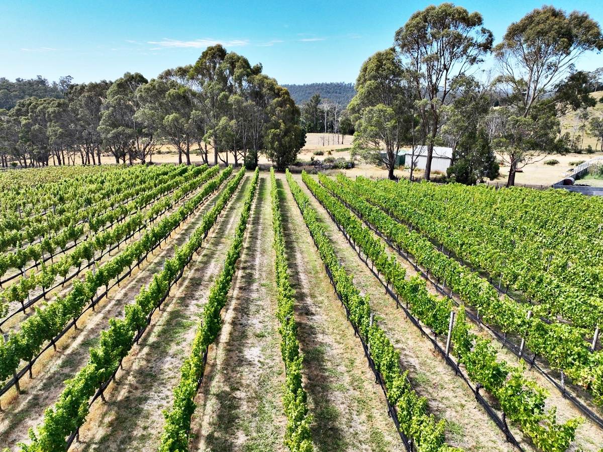 150 Hjorts Road, Loira Sold by Farmbuy.com - image 24