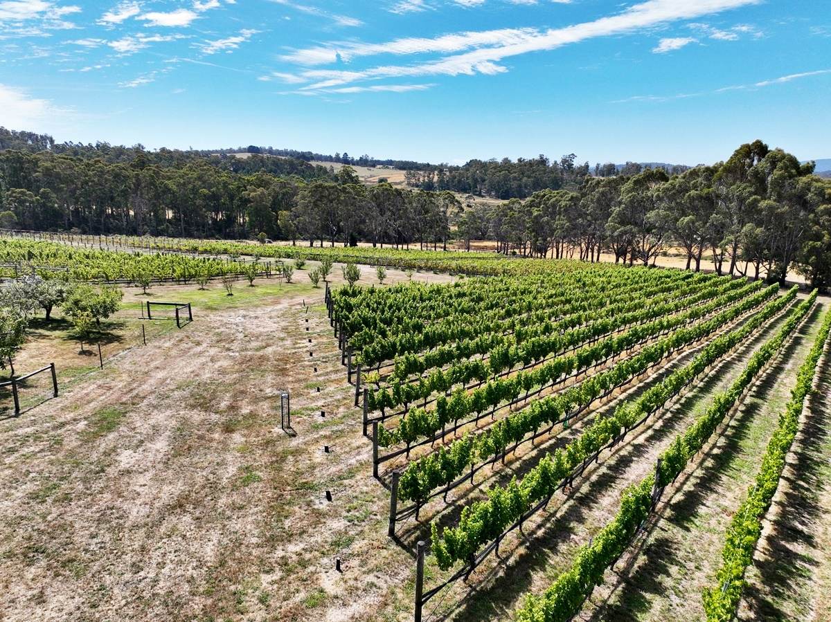 150 Hjorts Road, Loira Sold by Farmbuy.com - image 20