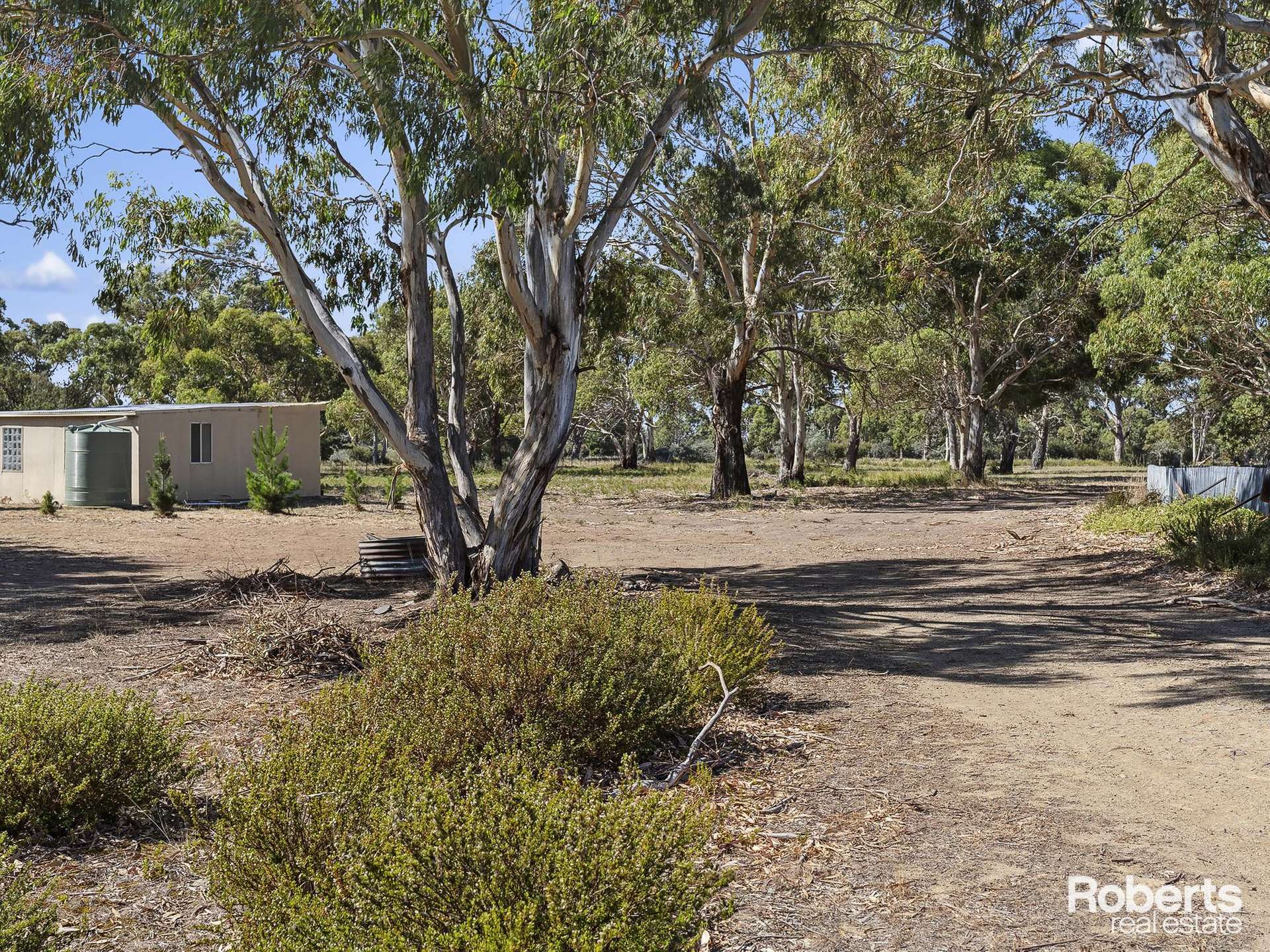 95 Dolphin Sands Road, Dolphin Sands For Sale by Farmbuy.com - image 9