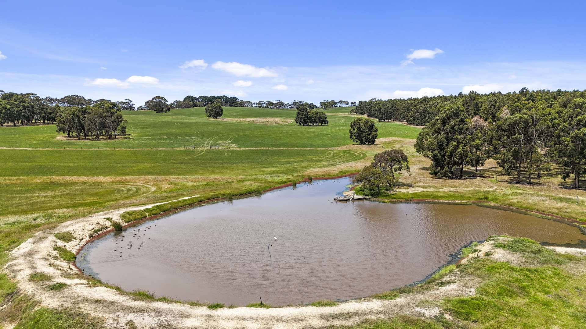 228 Hutchinson Road, Hindmarsh Valley For Sale by Farmbuy.com - image 15