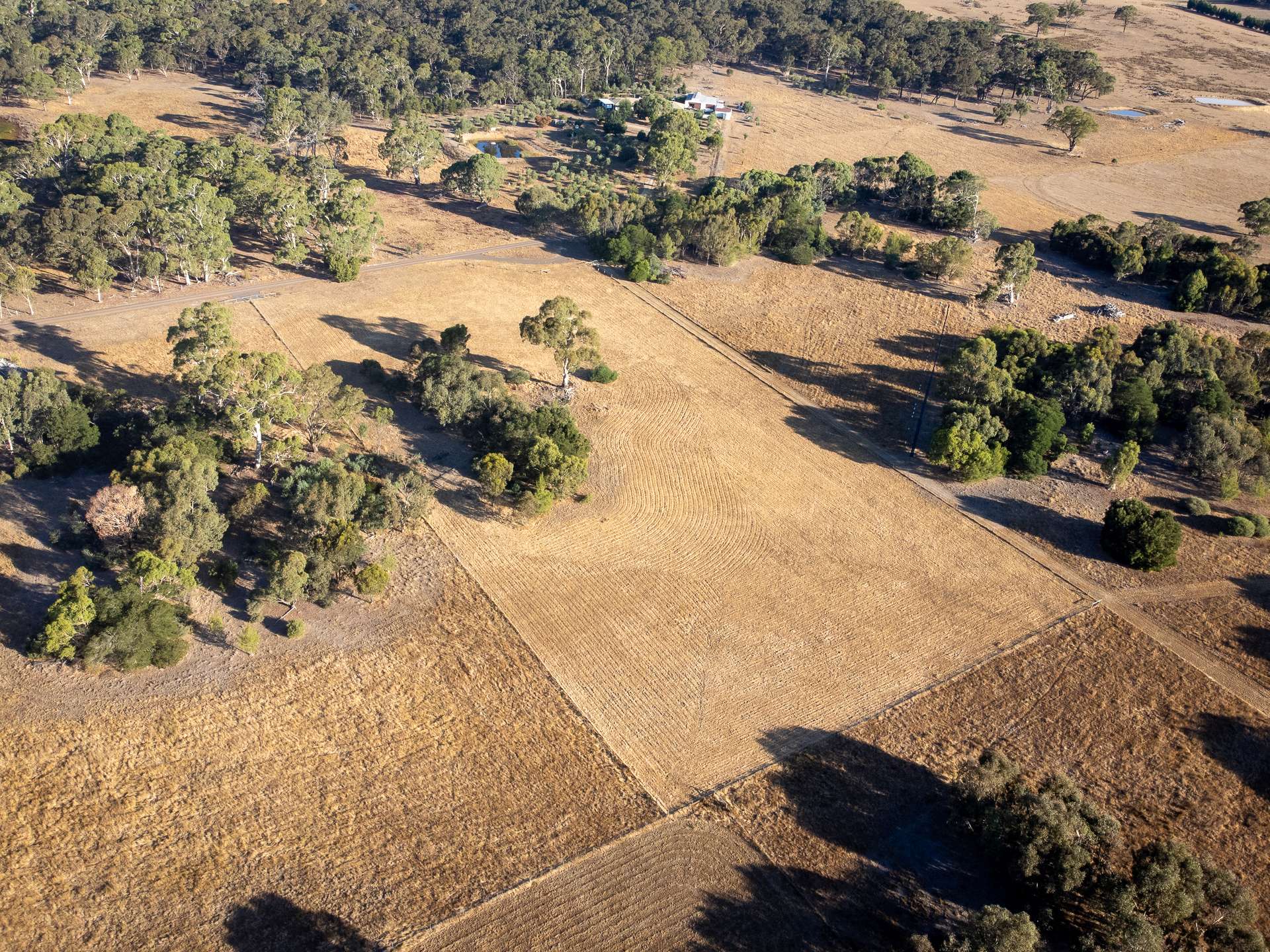 Lot 2 Torneys Lane, Beaufort For Sale by Farmbuy.com - image 7