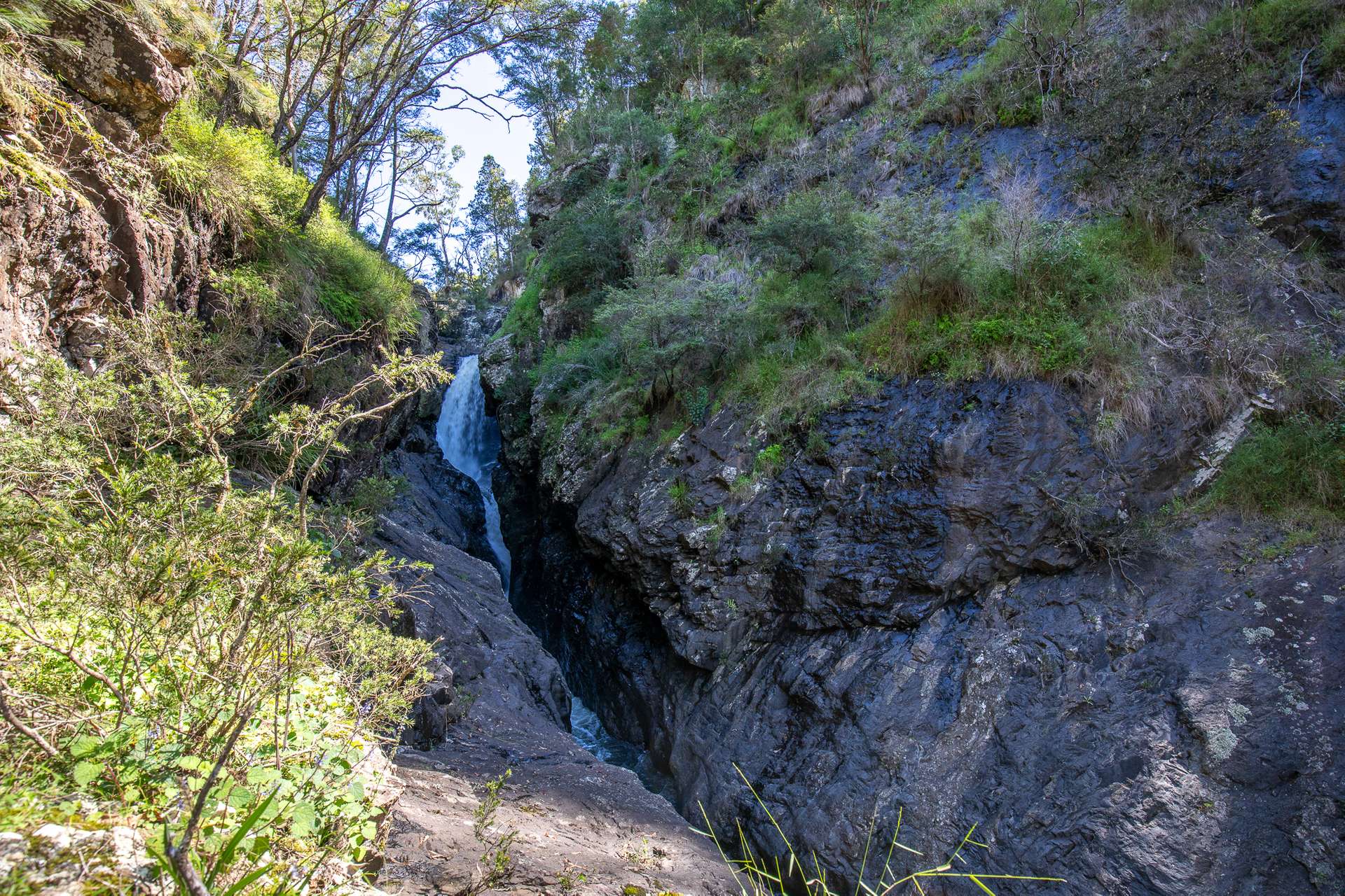 149 Johnsens Road, Dorrigo Sold by Farmbuy.com - image 18
