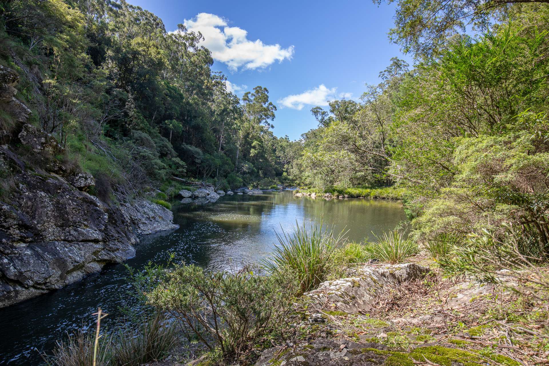 149 Johnsens Road, Dorrigo Sold by Farmbuy.com - image 4