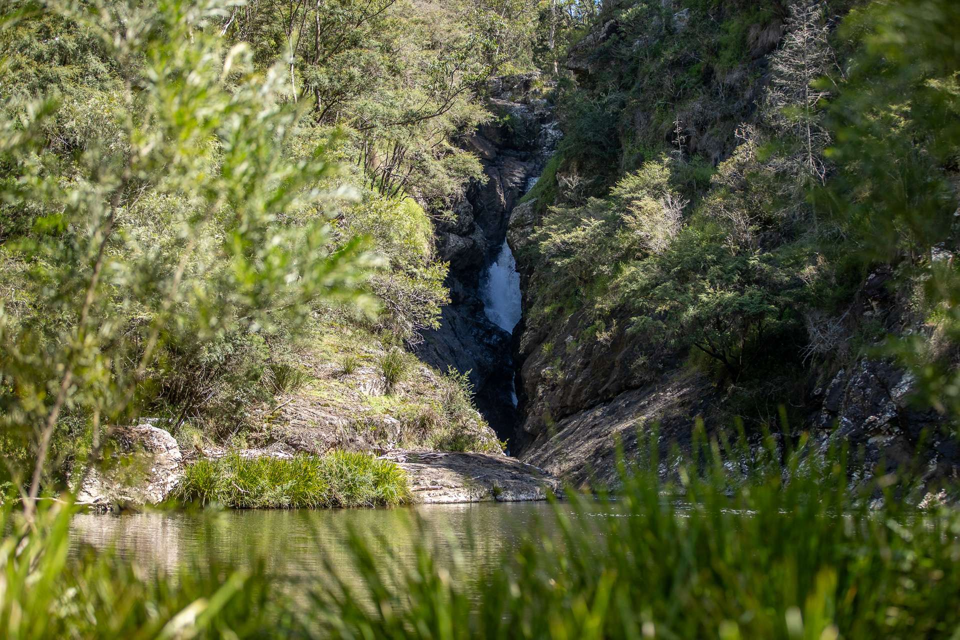 149 Johnsens Road, Dorrigo Sold by Farmbuy.com - image 14