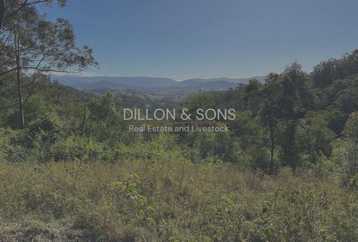 Farm Sold - NSW - Dungog - 2420 - Tucked Away From It All 