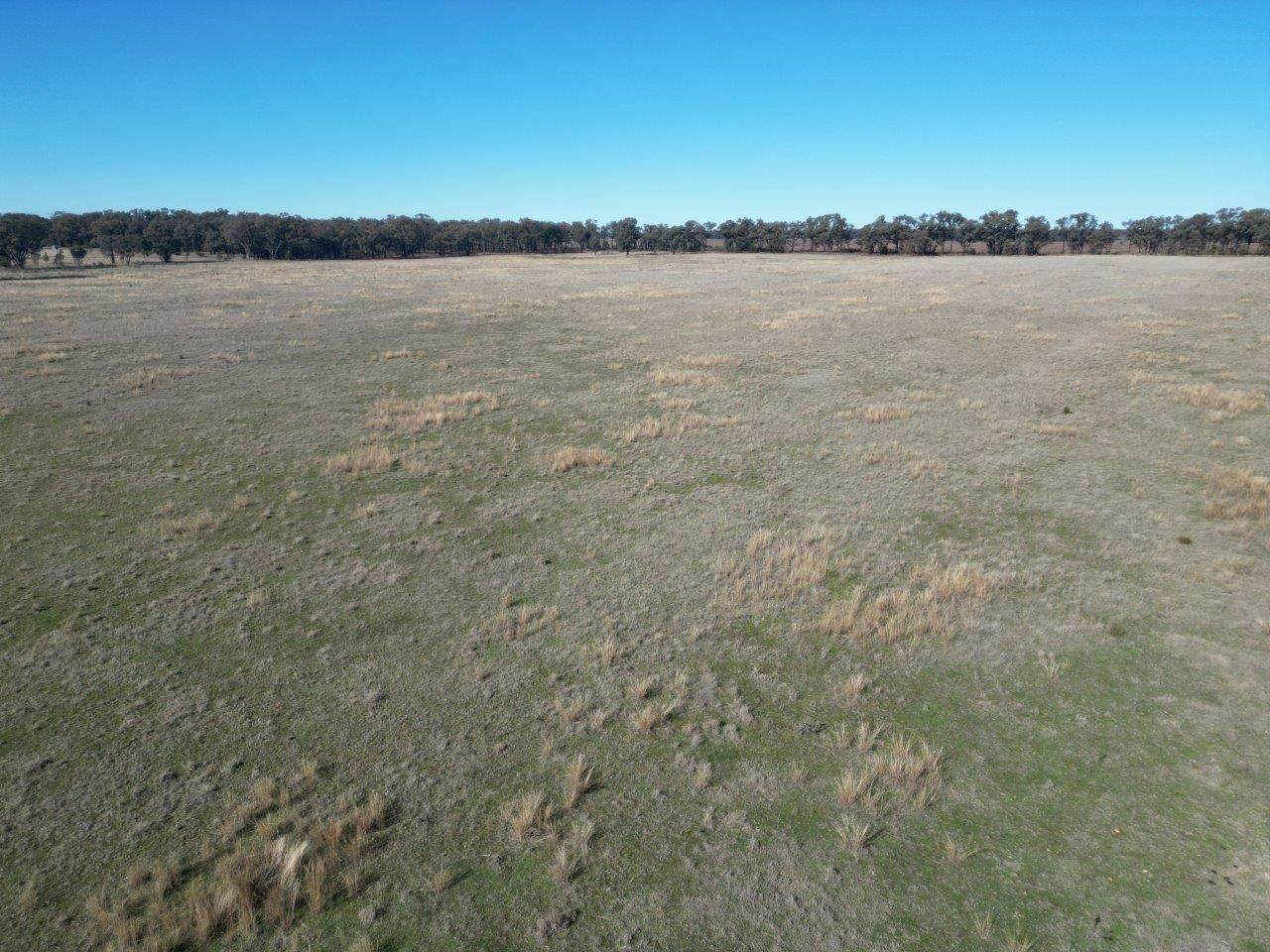 'Wildwood' 977 Schmidts Road, Temora For Sale by Farmbuy.com - image 8