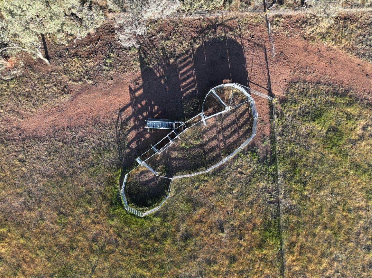 'Wildwood' 977 Schmidts Road, Temora For Sale by Farmbuy.com - image 12