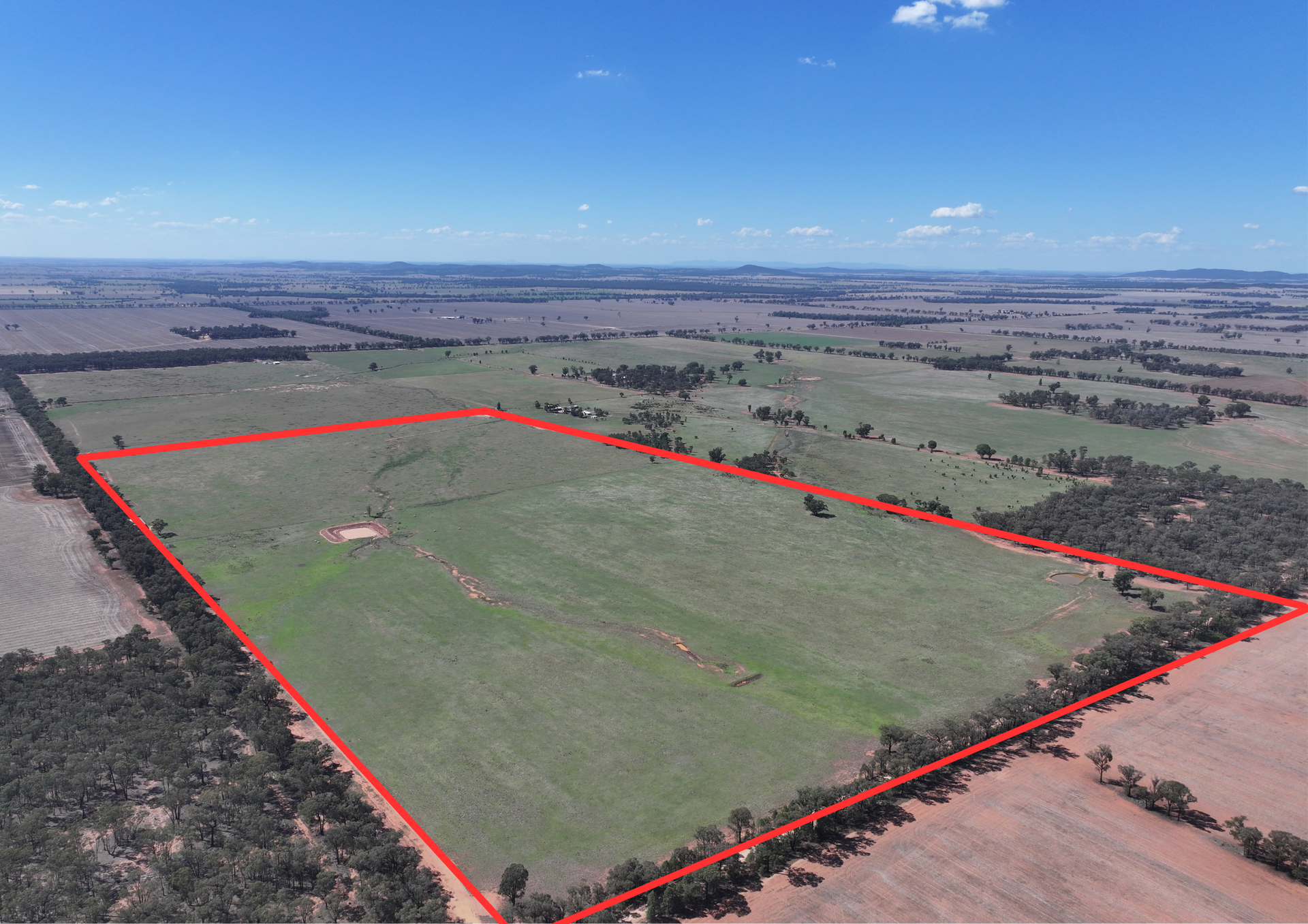 'Wildwood' 977 Schmidts Road, Temora For Sale by Farmbuy.com - image 13