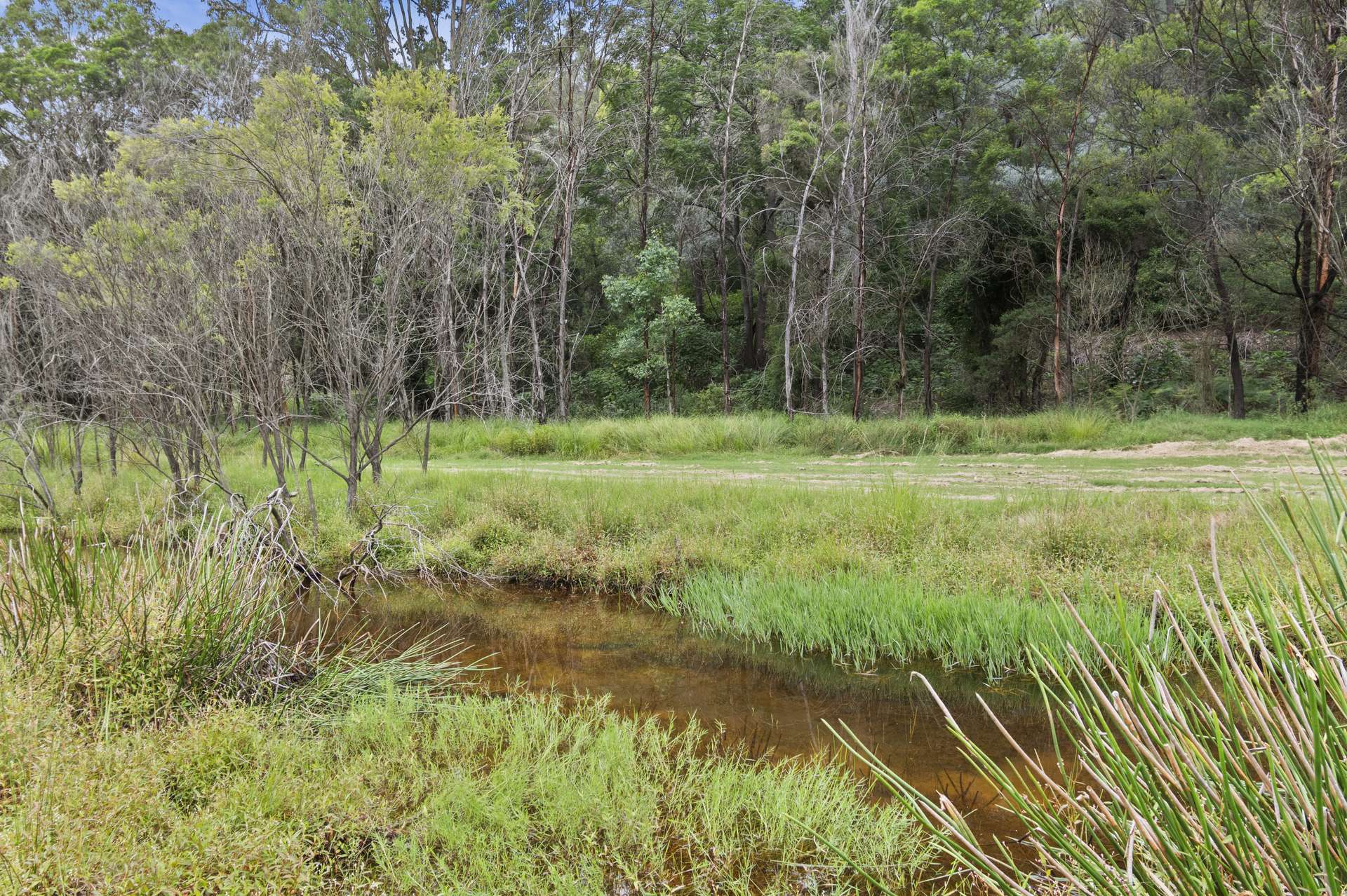 201 Greens Road, Lower Portland For Sale by Farmbuy.com - image 15