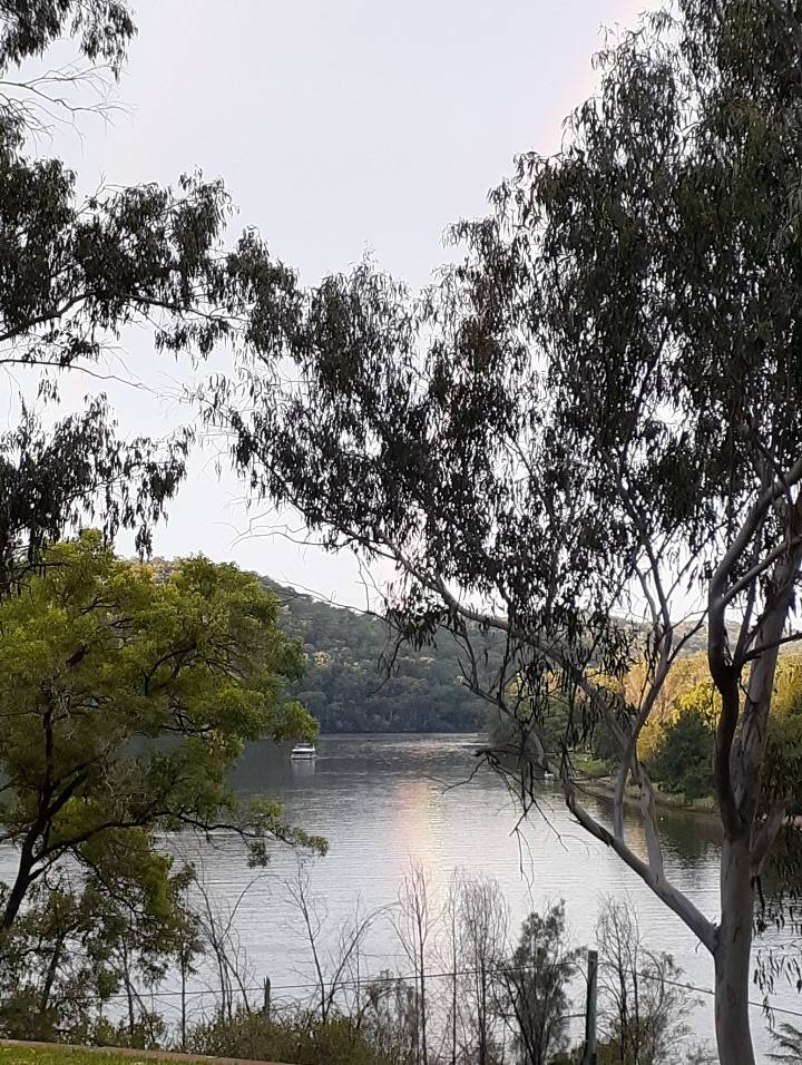 201 Greens Road, Lower Portland For Sale by Farmbuy.com - image 22