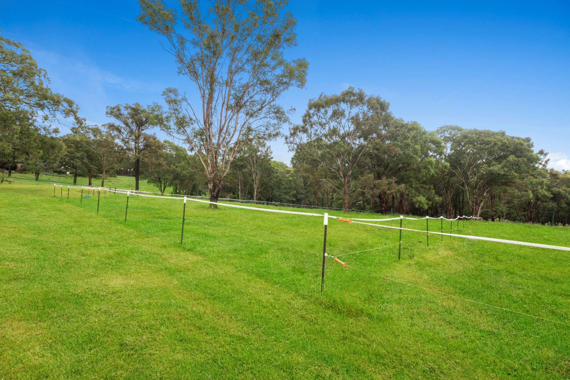 286 East Kurrajong Road, East Kurrajong For Sale by Farmbuy.com - image 22