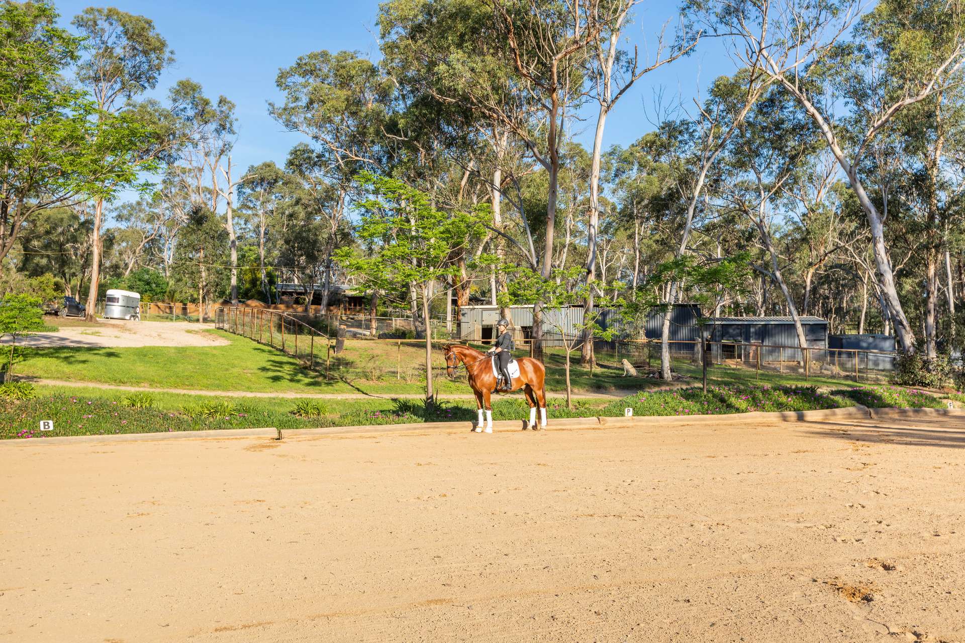 79 Sargents Road, Ebenezer For Sale by Farmbuy.com - image 16