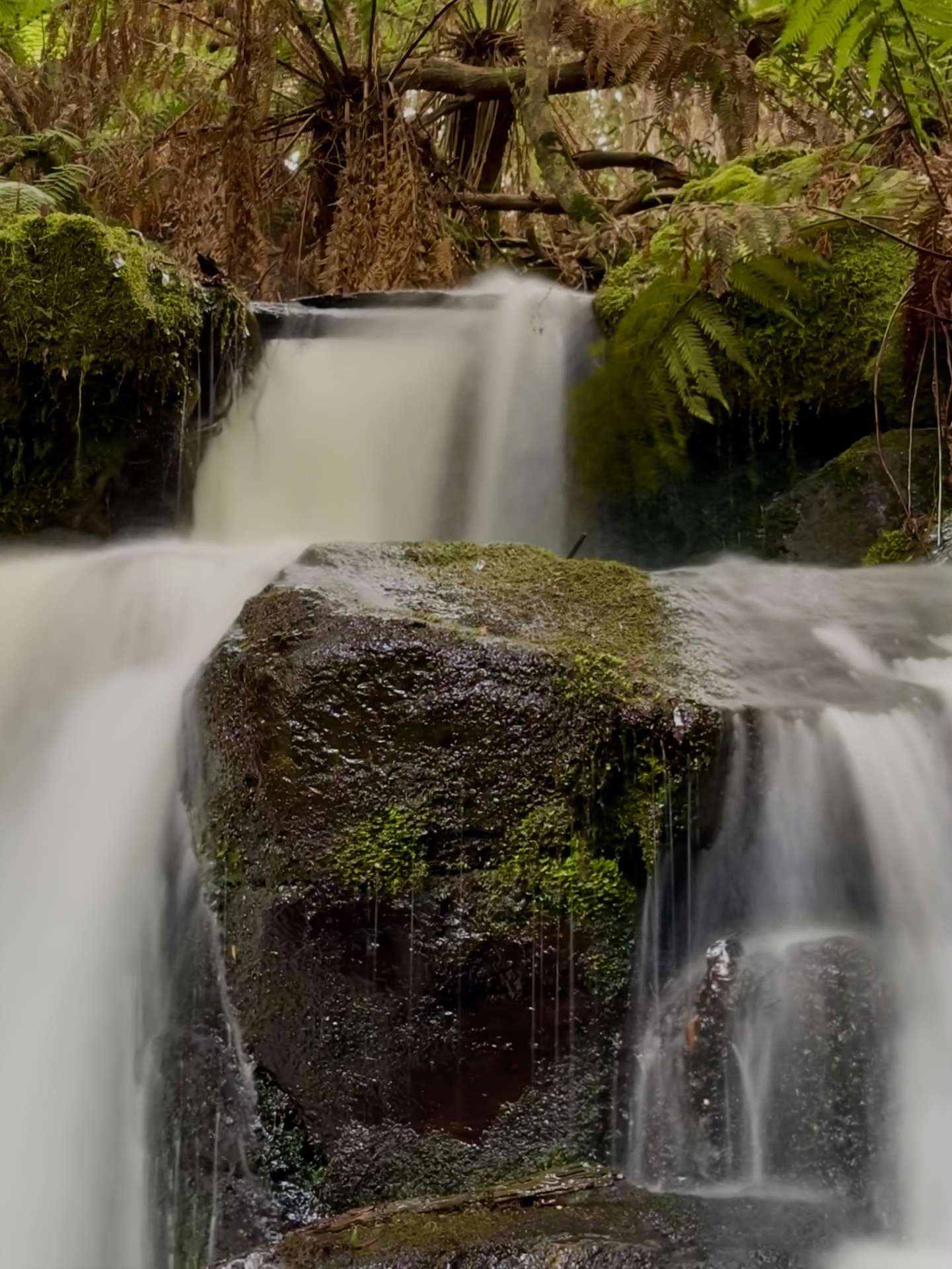 1390 Loongana Road, Loongana For Sale by Farmbuy.com - image 10