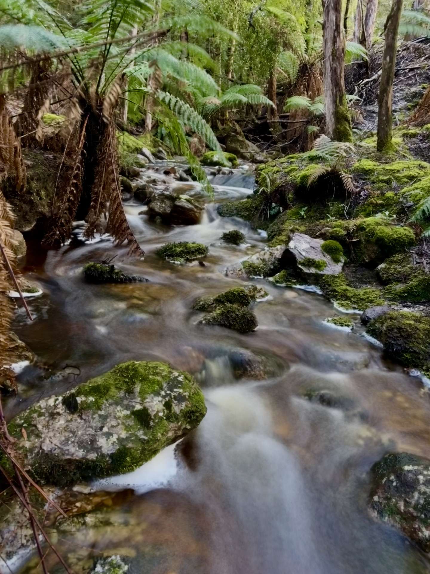 1390 Loongana Road, Loongana For Sale by Farmbuy.com - image 2