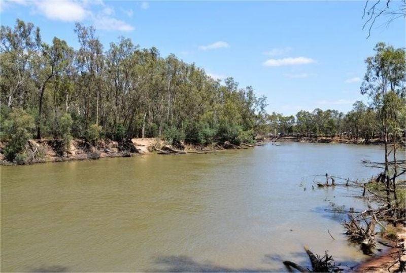 78 Louies Hut Road, Moama For Sale by Farmbuy.com - image 18