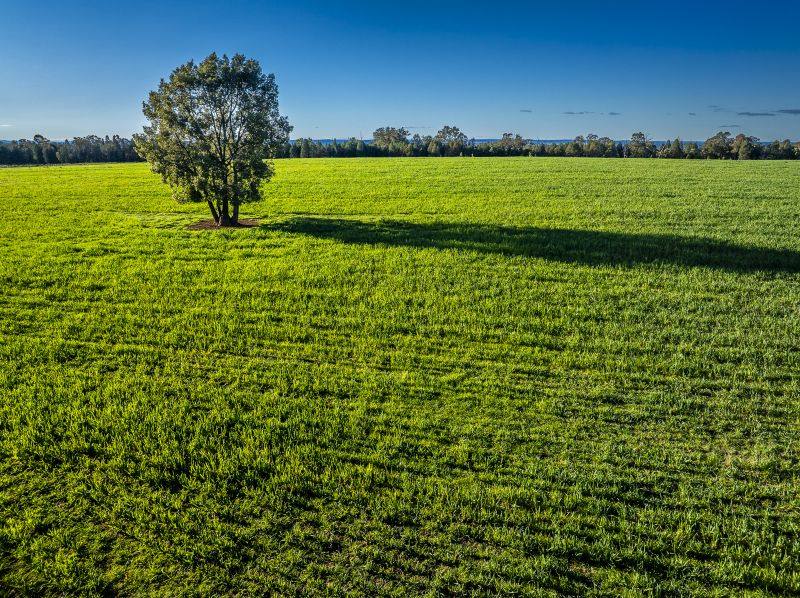 Doganabuganaram Road, Neilrex Expressions of Interest by Farmbuy.com - image 17