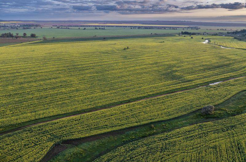 330 Bellings Road, Goolhi Expressions of Interest by Farmbuy.com - image 14