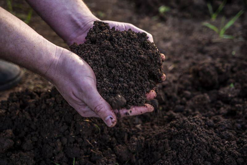 330 Bellings Road, Goolhi Expressions of Interest by Farmbuy.com - image 15