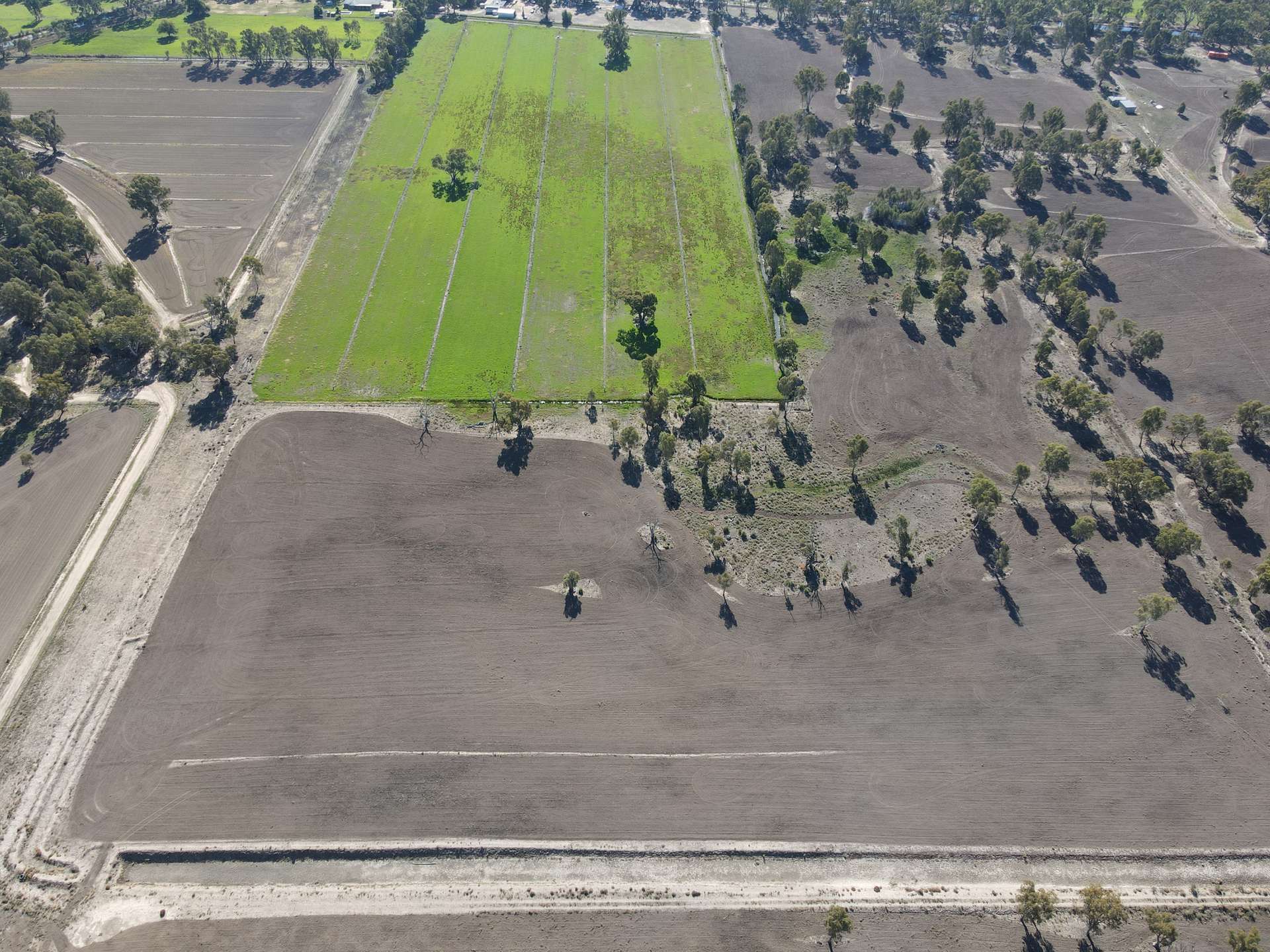 Lot 58 & 59,  View Street, Koondrook For Sale by Farmbuy.com - image 3