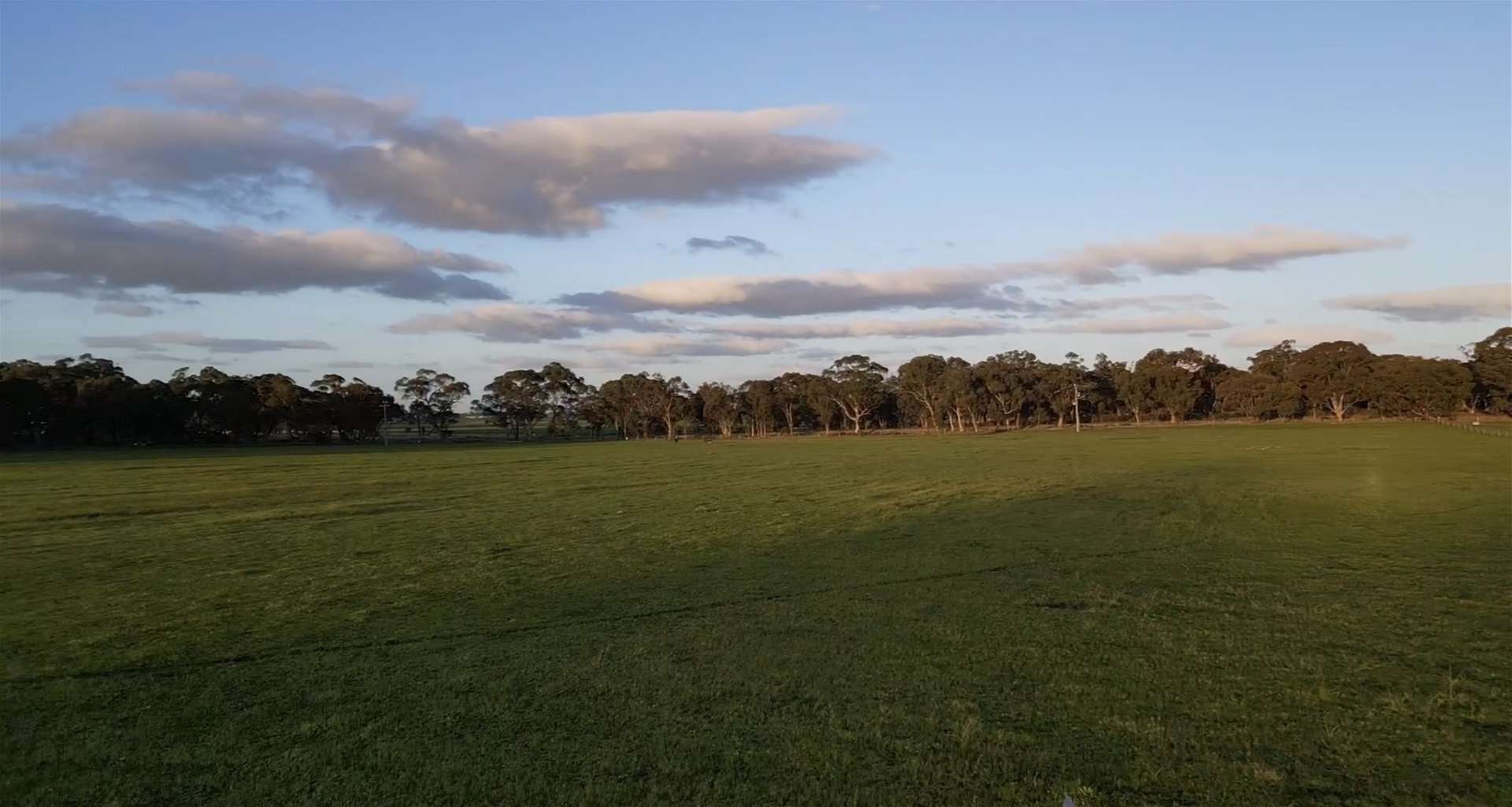 7 CRAMERI ROAD, Carisbrook For Sale by Farmbuy.com - image 5