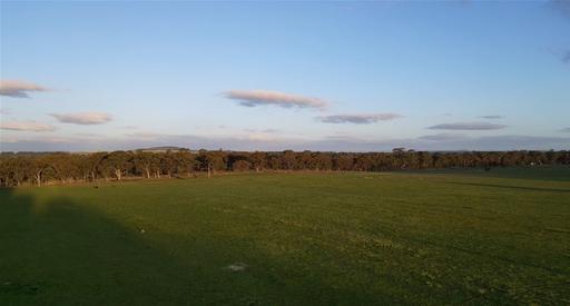 Farm For Sale - VIC - Carisbrook - 3464 - BUILD YOUR DREAM HOME OR SUBDIVIDE IN CHARMING CARISBROOK! STCA 