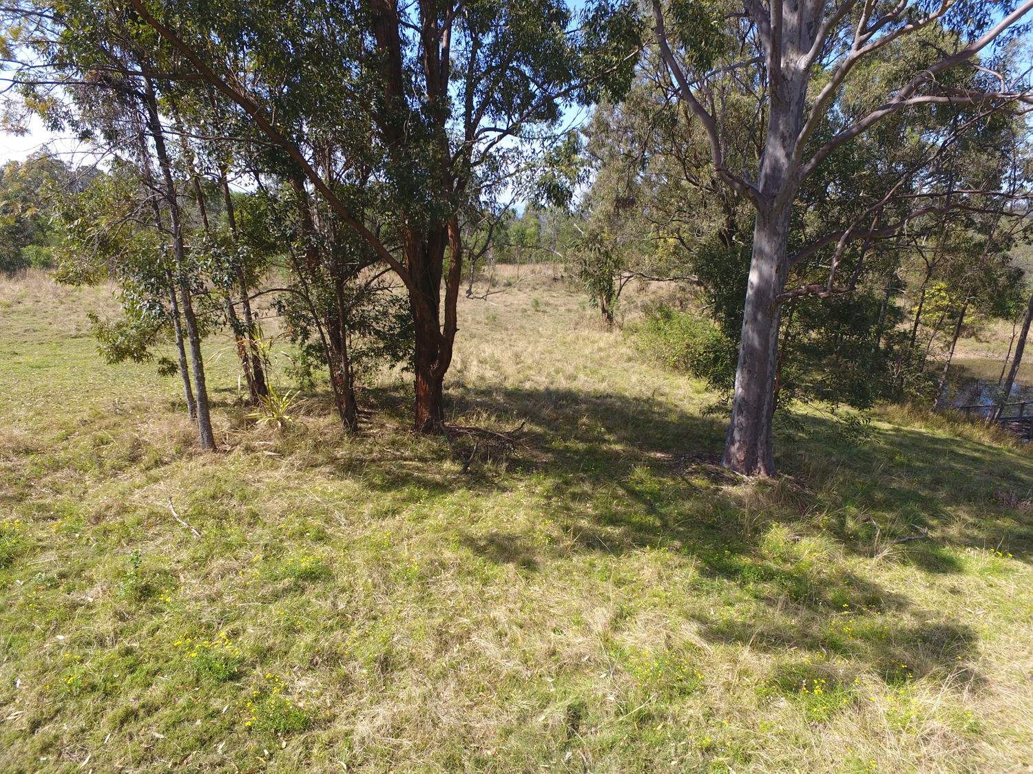 139 Leslie Creek Road, Drake For Sale by Farmbuy.com - image 8