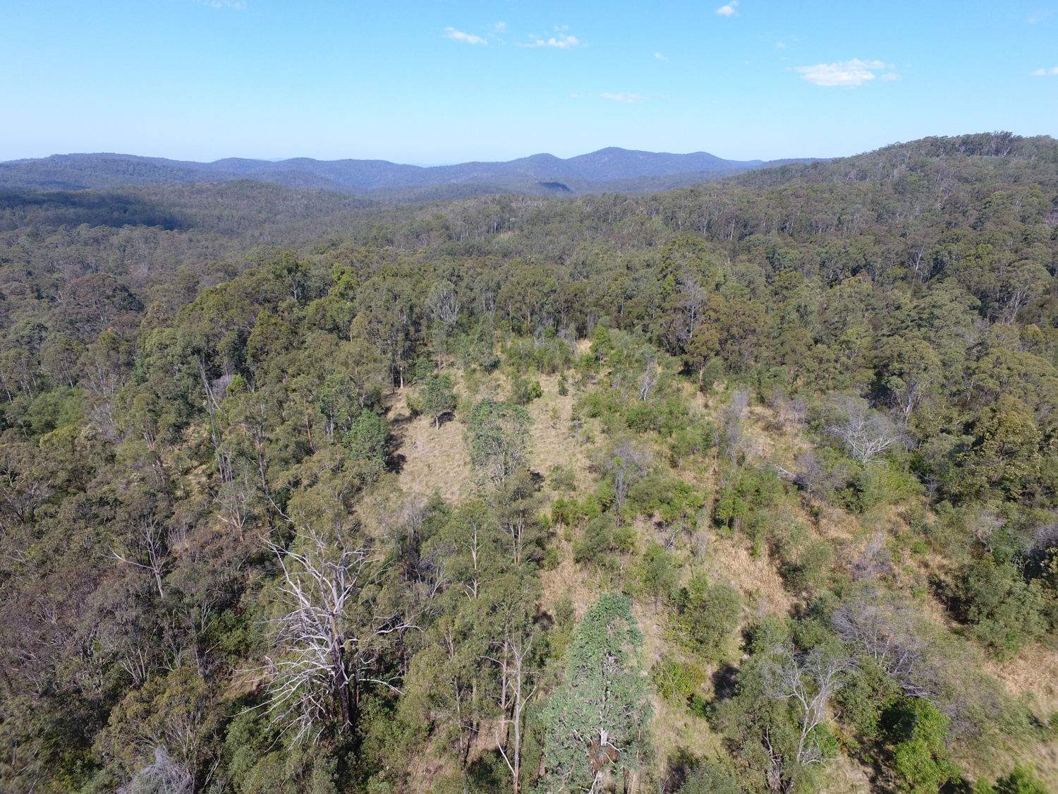 139 Leslie Creek Road, Drake For Sale by Farmbuy.com - image 10